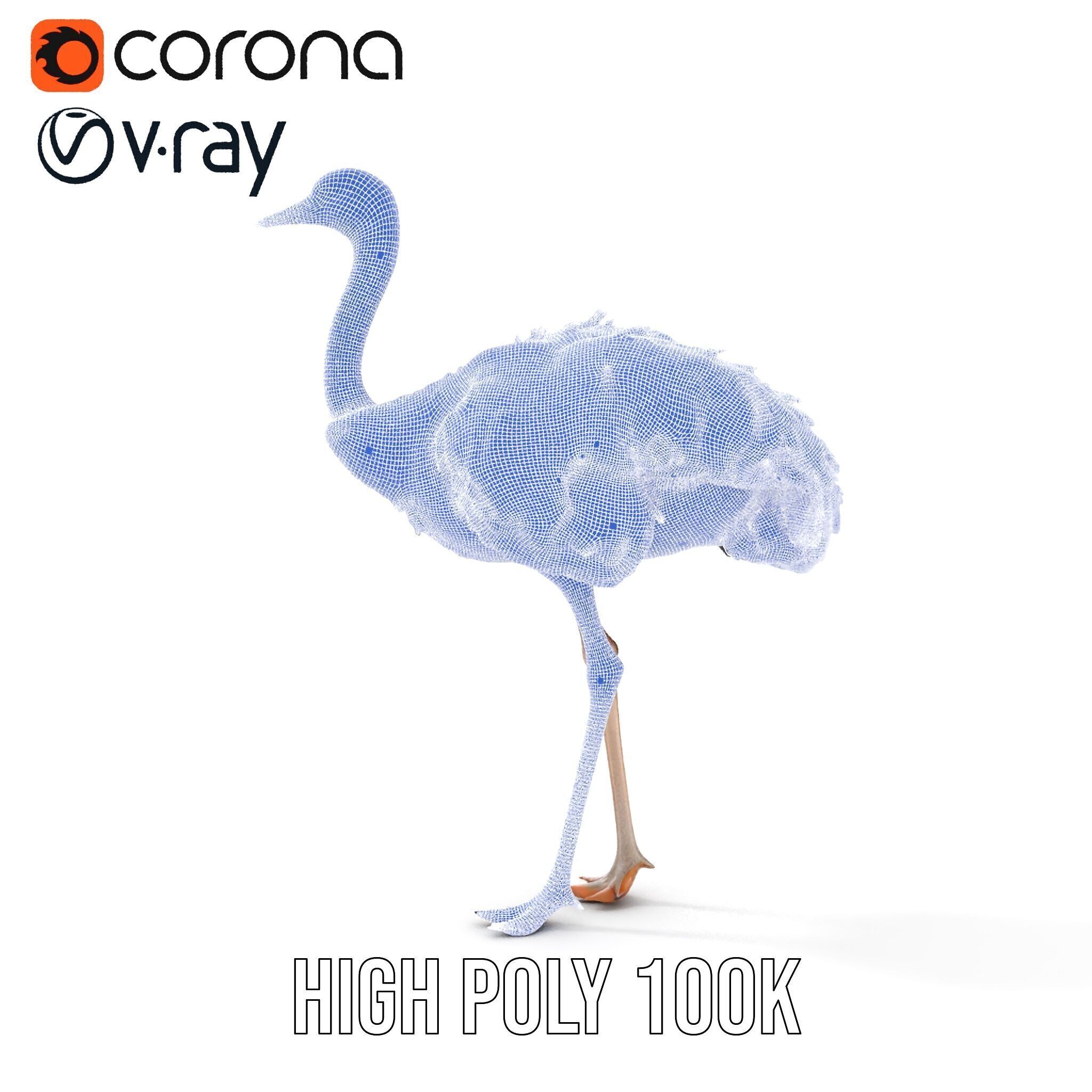 Ostrich Model Pack with Detailed Feather Texture Low-poly 3D model_38