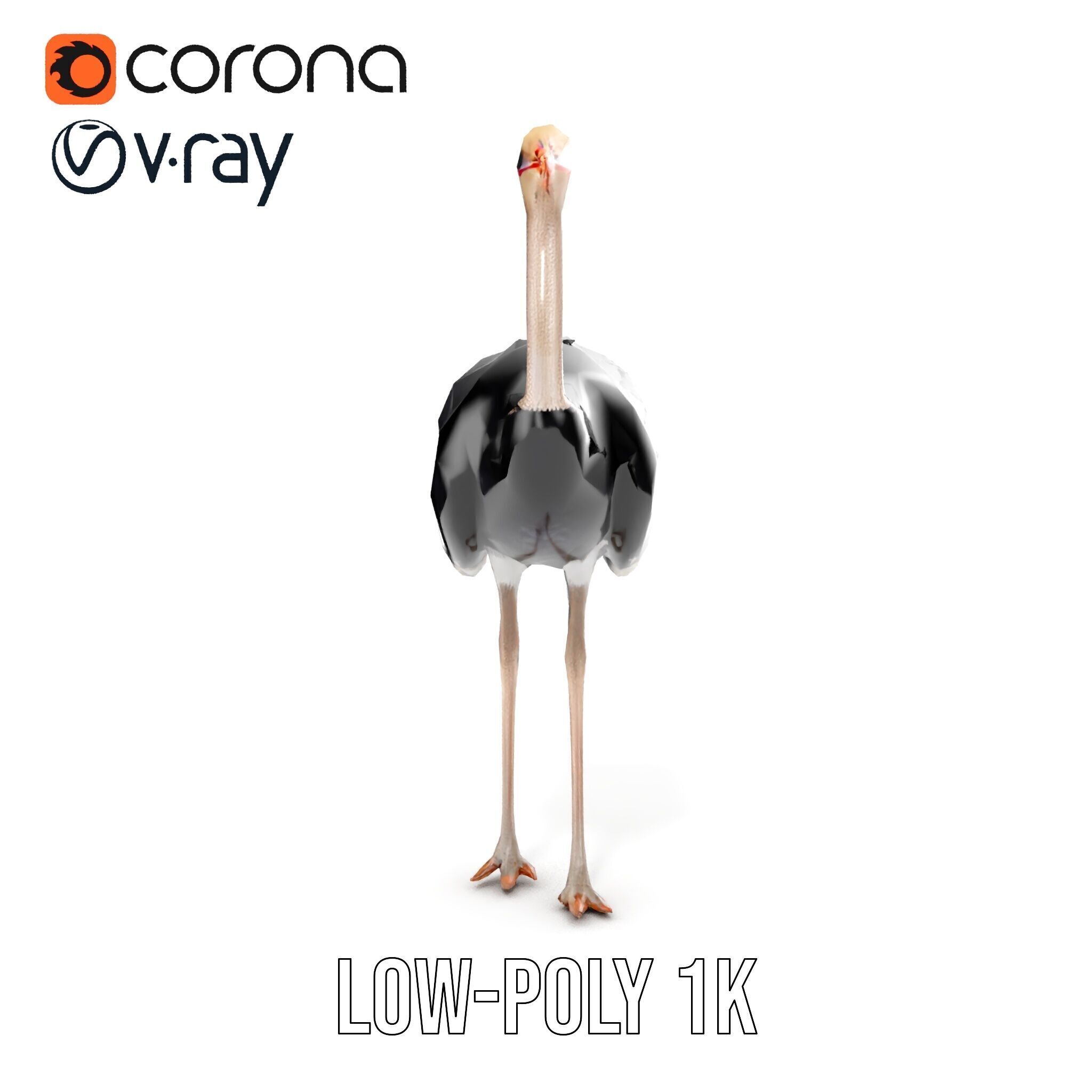 Ostrich Model Pack with Detailed Feather Texture Low-poly 3D model_16