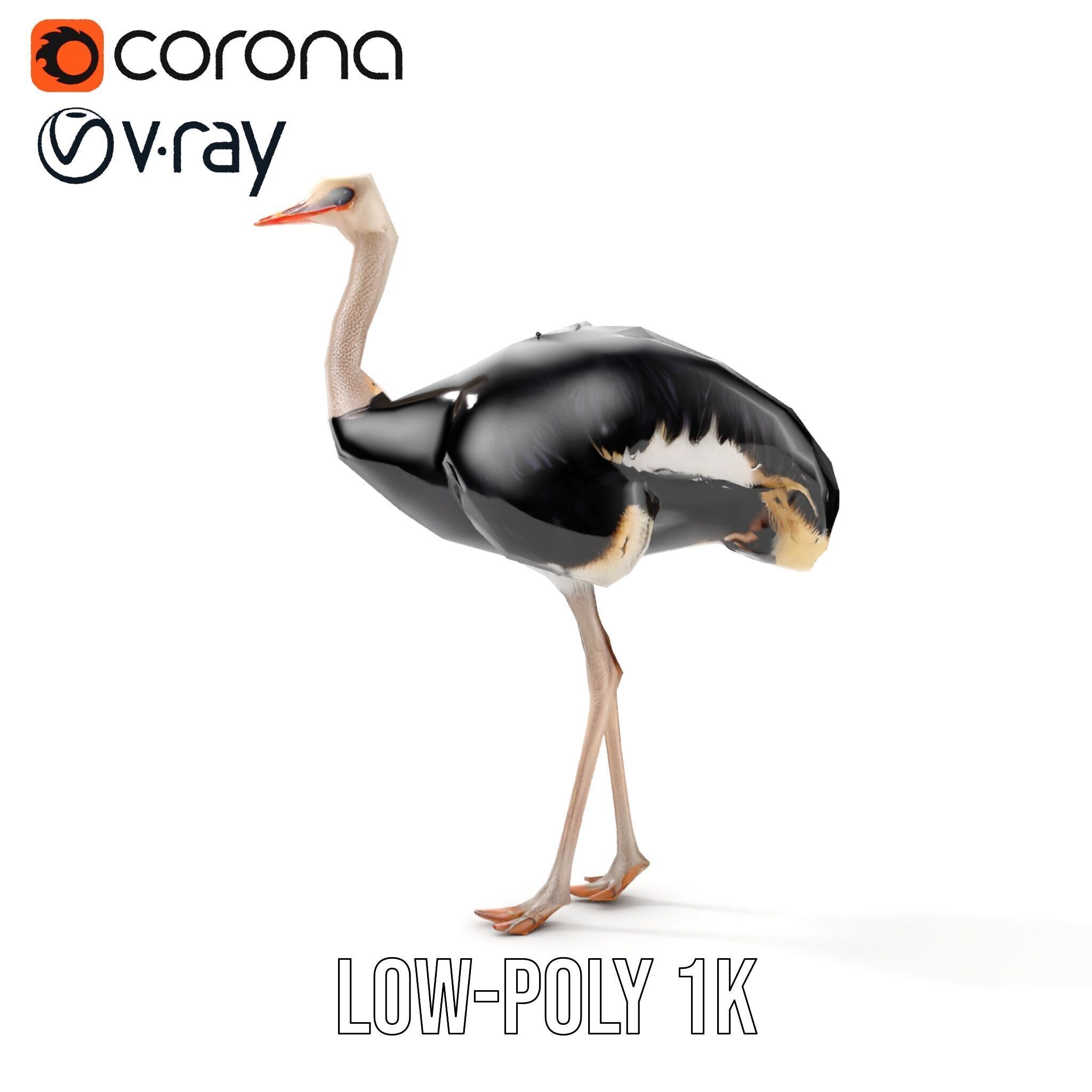 Ostrich Model Pack with Detailed Feather Texture Low-poly 3D model_23