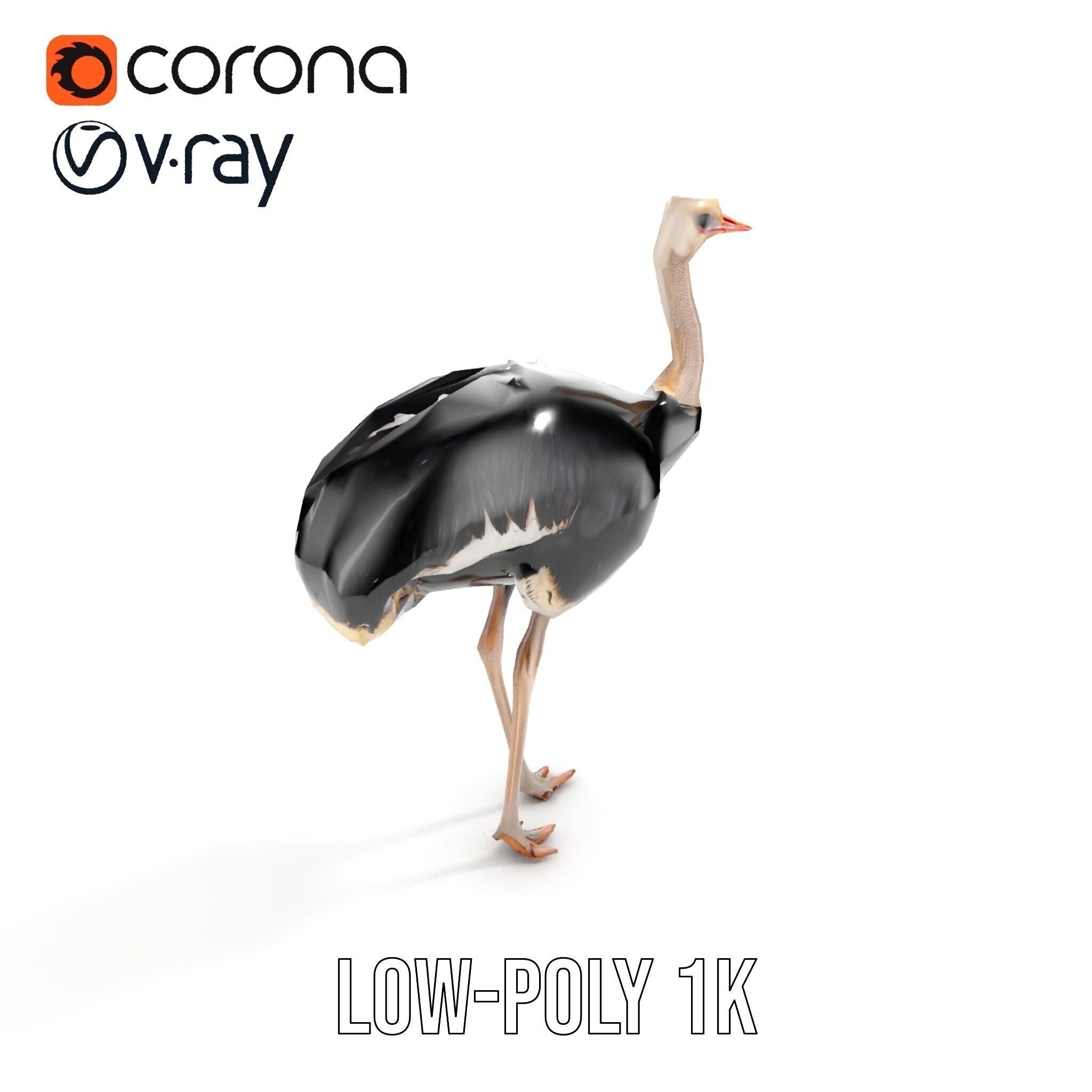 Ostrich Model Pack with Detailed Feather Texture Low-poly 3D model_7