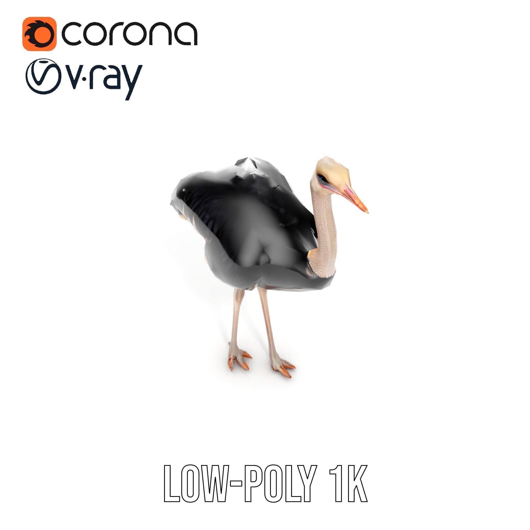 Ostrich Model Pack with Detailed Feather Texture Low-poly 3D model_26