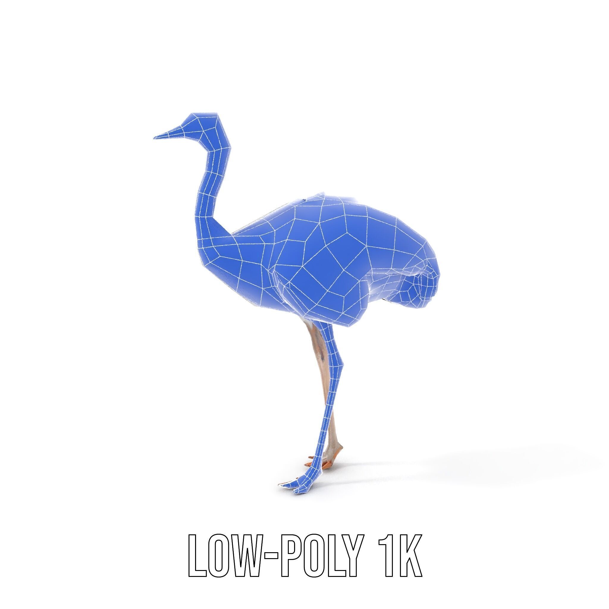 Ostrich Model Pack with Detailed Feather Texture Low-poly 3D model_10