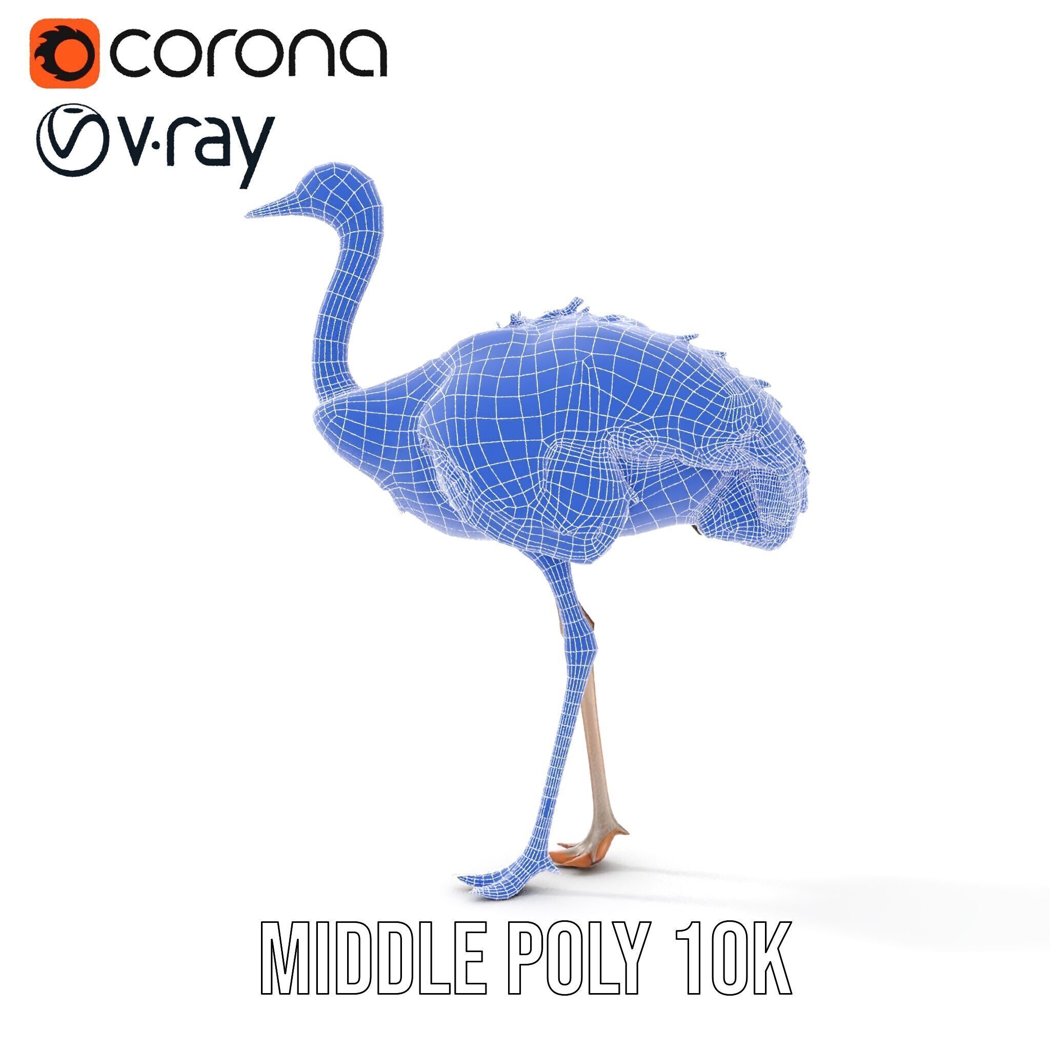 Ostrich Model Pack with Detailed Feather Texture Low-poly 3D model_28