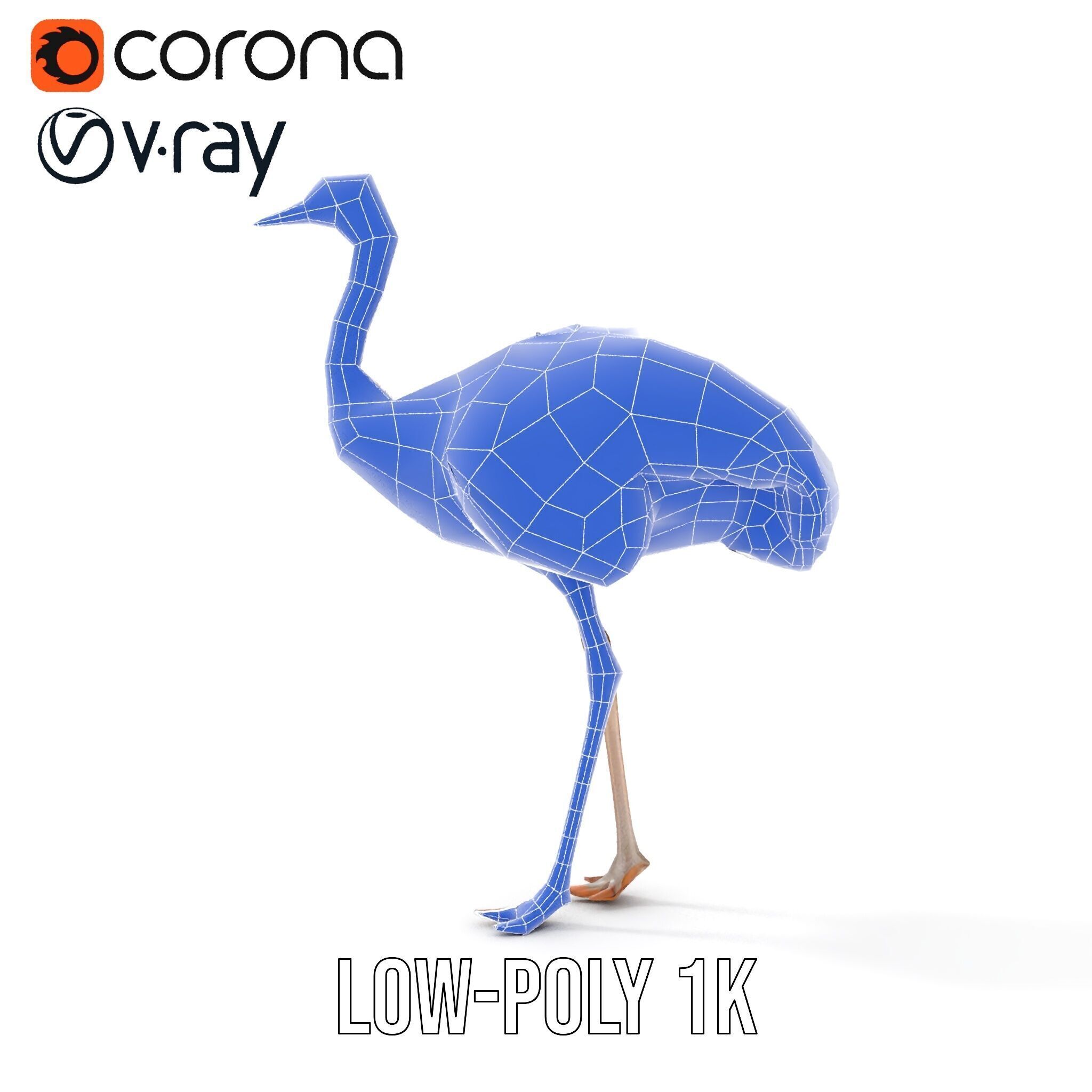 Ostrich Model Pack with Detailed Feather Texture Low-poly 3D model_31