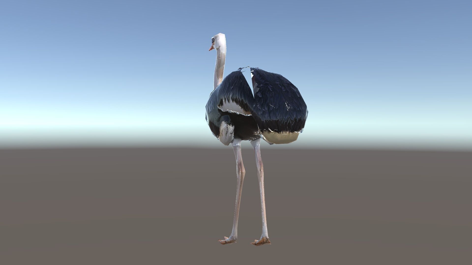 Ostrich Model Pack with Detailed Feather Texture Low-poly 3D model_34
