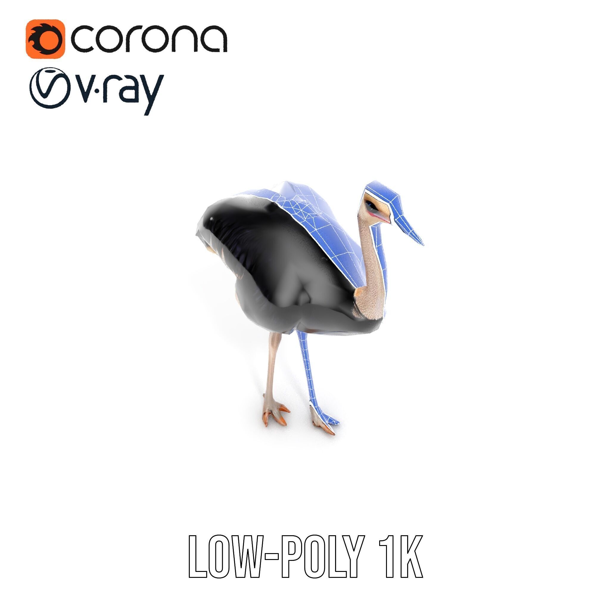 Ostrich Model Pack with Detailed Feather Texture Low-poly 3D model_21