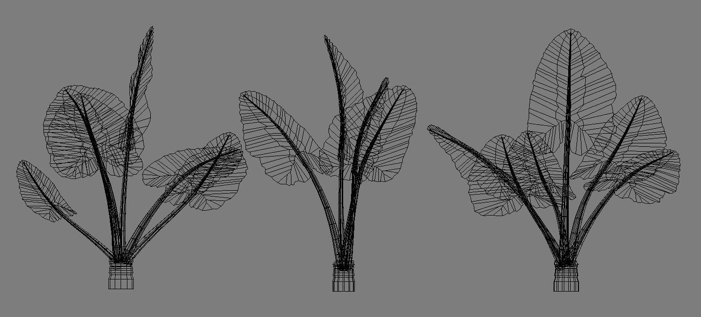 Alocasia Montana - large exotic tropical plant Low-poly 3D model_4