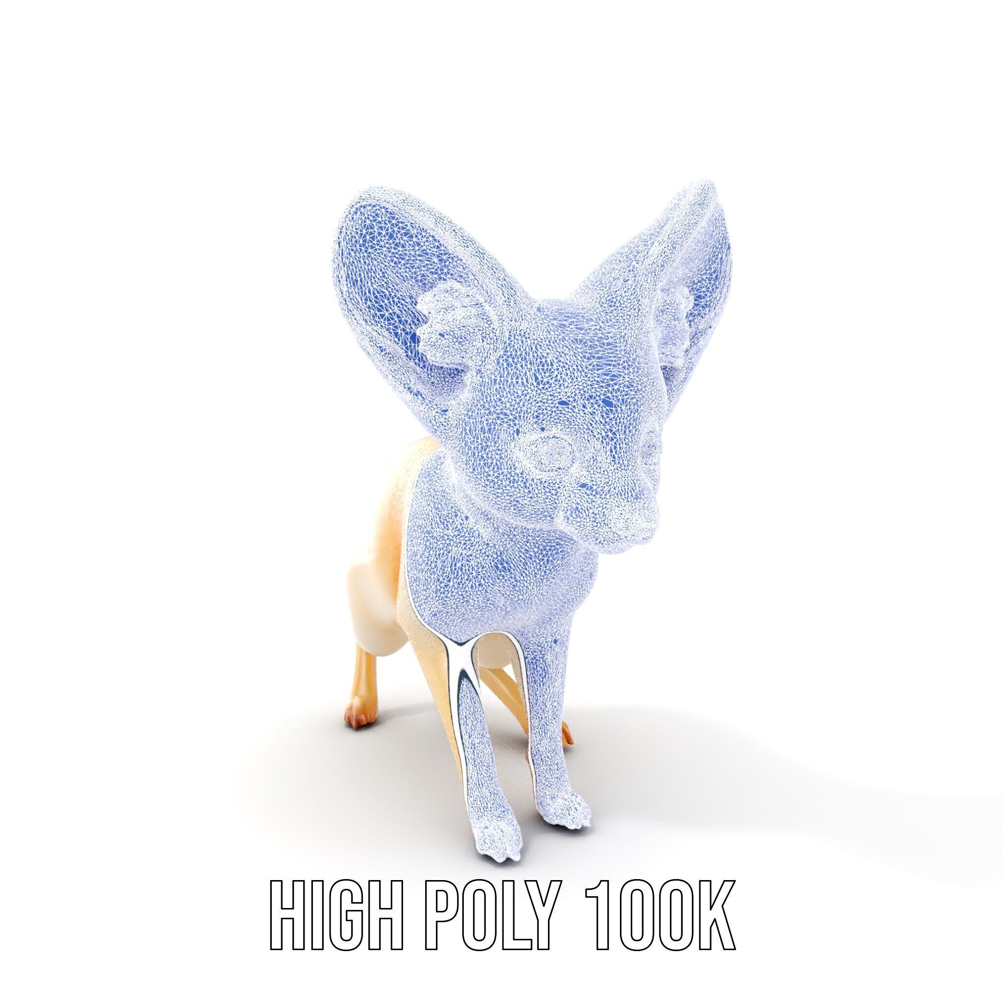Fennec Fox D Model Pack for Animation and Games Low-poly 3D model_5