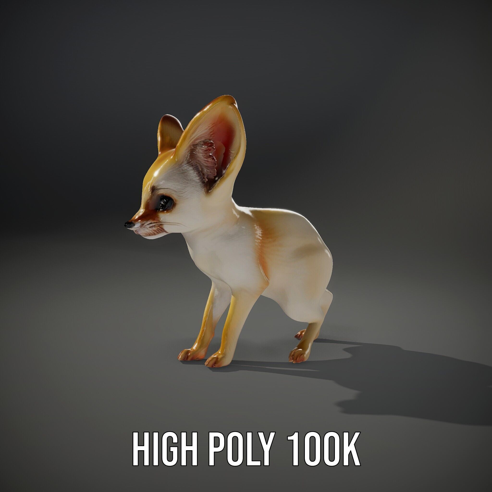 Fennec Fox D Model Pack for Animation and Games Low-poly 3D model_9