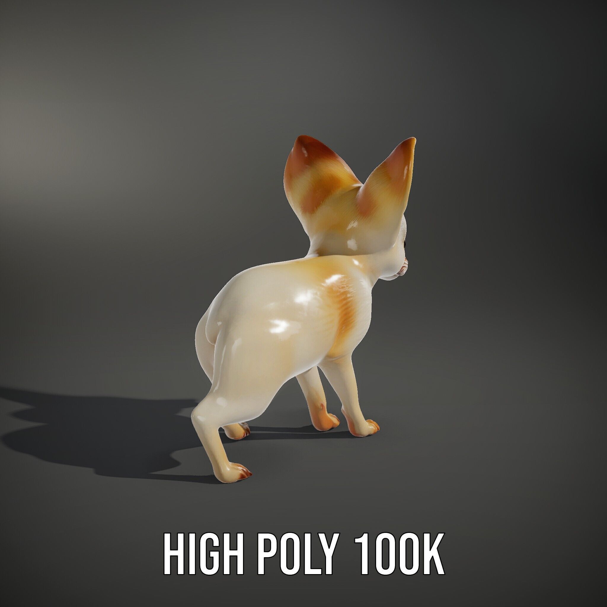 Fennec Fox D Model Pack for Animation and Games Low-poly 3D model_15