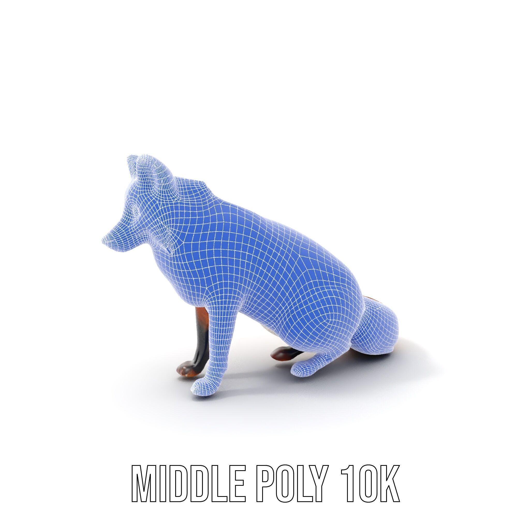 Realistic Fox Model Pack for D Animation and Rendering Low-poly 3D model_20