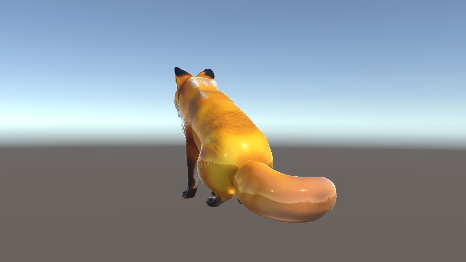 Realistic Fox Model Pack for D Animation and Rendering Low-poly 3D model_34