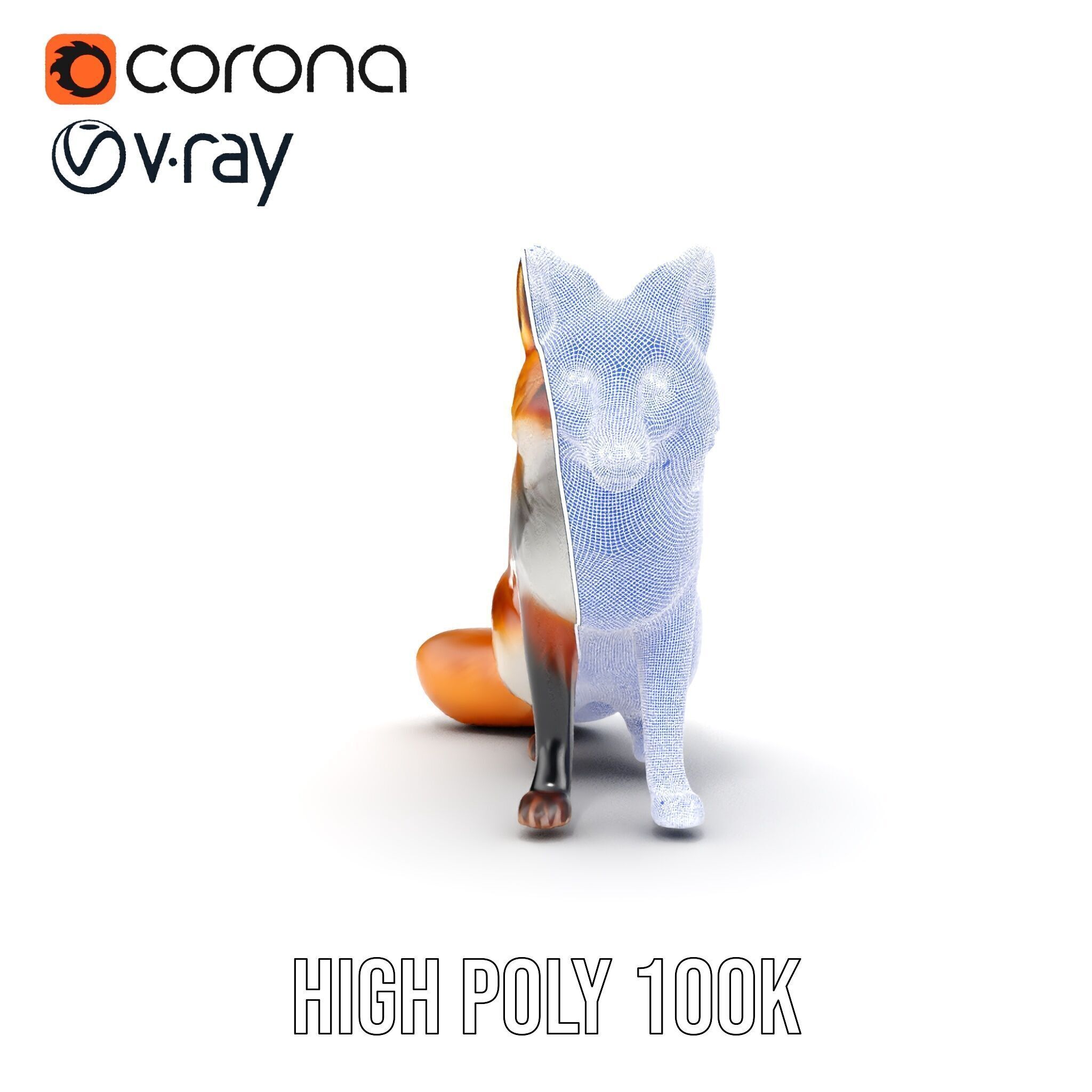 Realistic Fox Model Pack for D Animation and Rendering Low-poly 3D model_33