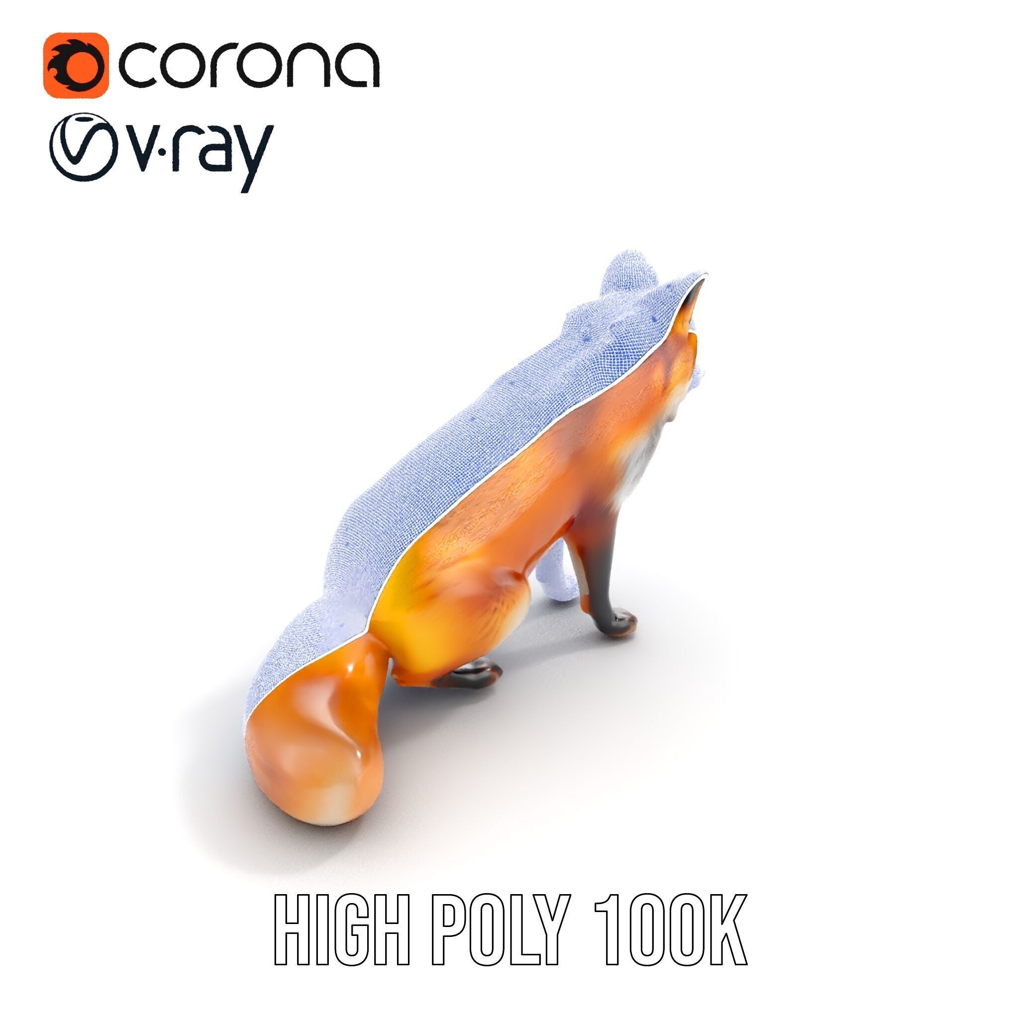 Realistic Fox Model Pack for D Animation and Rendering Low-poly 3D model_37