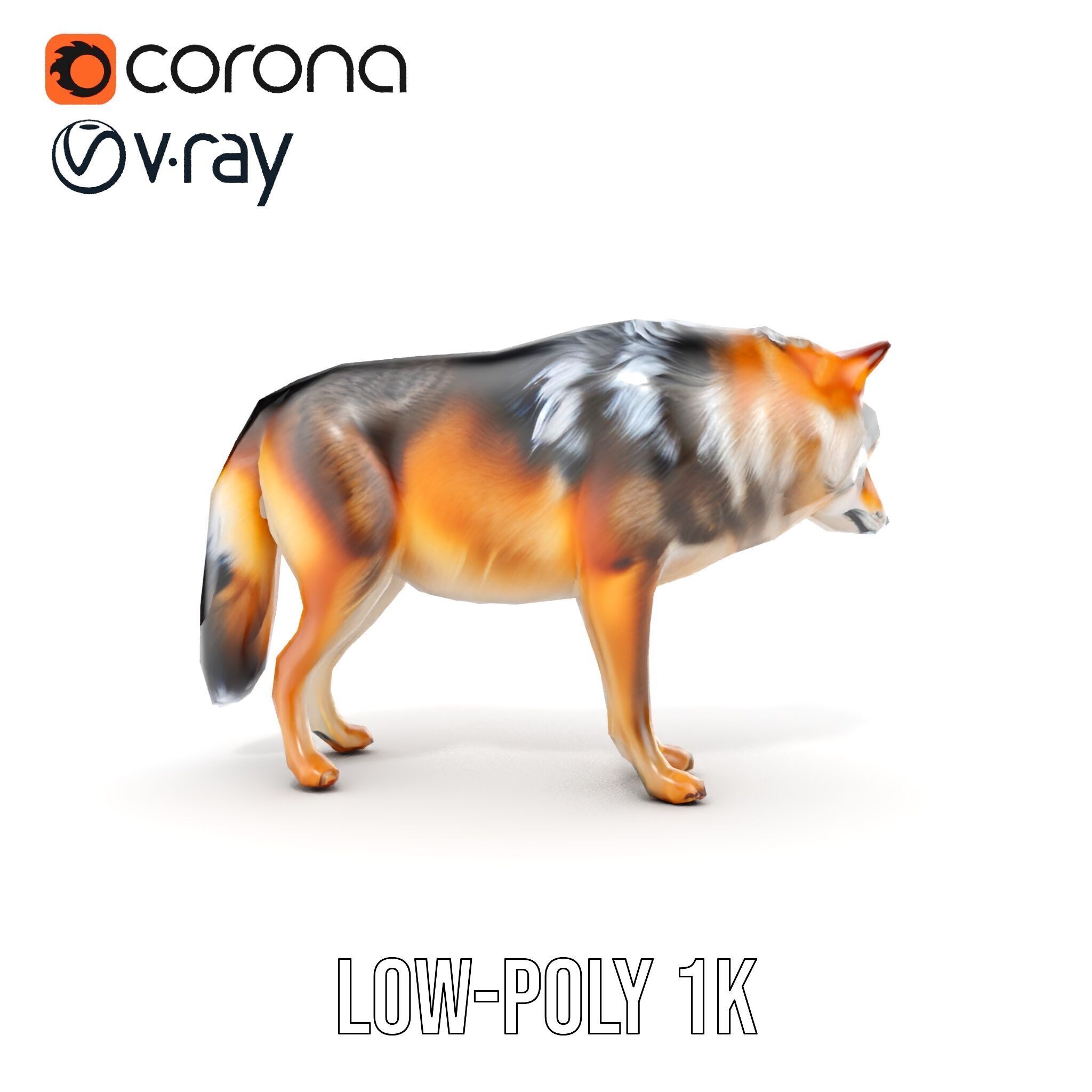 Wolf Animal Model Pack  Realistic Fur and Texture Low-poly 3D model_11