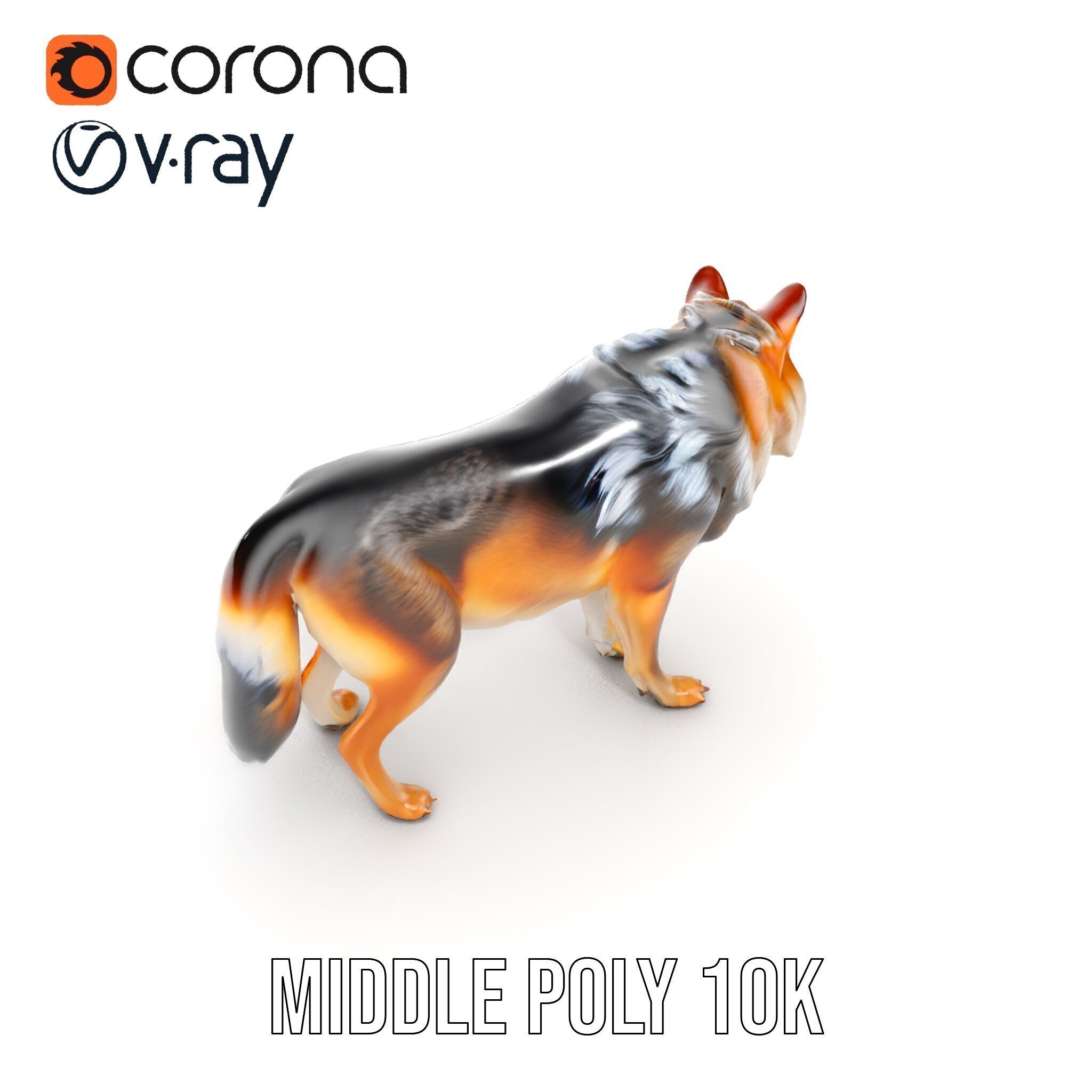 Wolf Animal Model Pack  Realistic Fur and Texture Low-poly 3D model_24