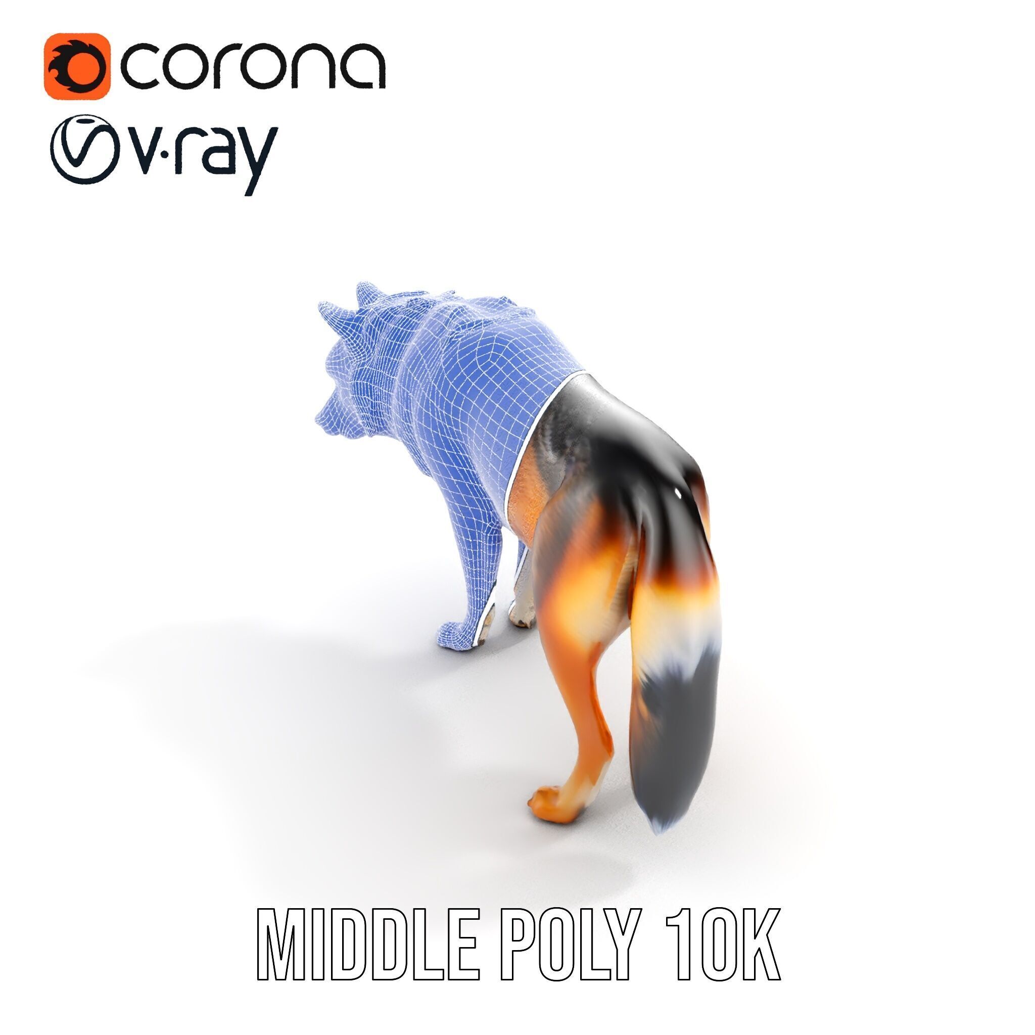 Wolf Animal Model Pack  Realistic Fur and Texture Low-poly 3D model_16