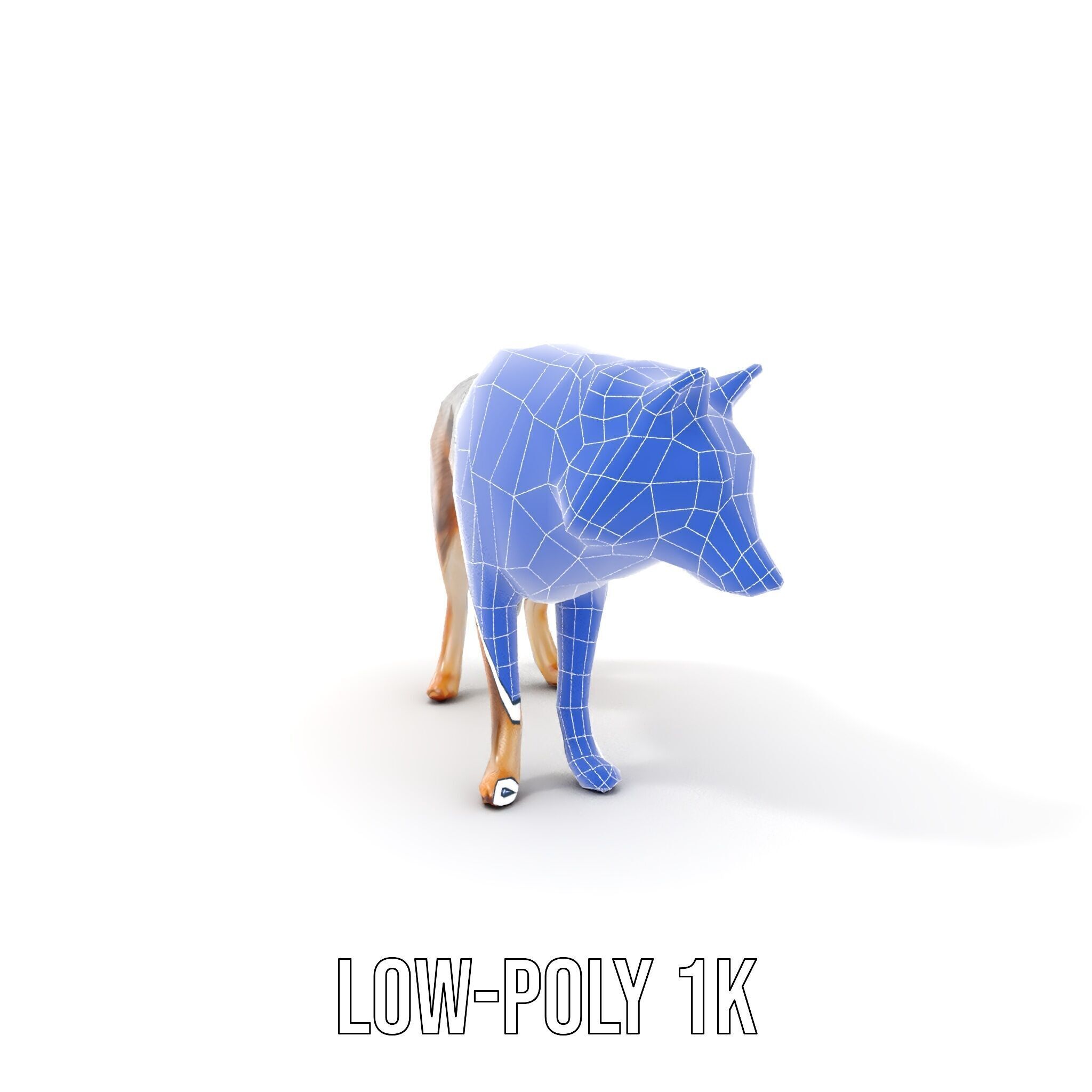 Wolf Animal Model Pack  Realistic Fur and Texture Low-poly 3D model_19