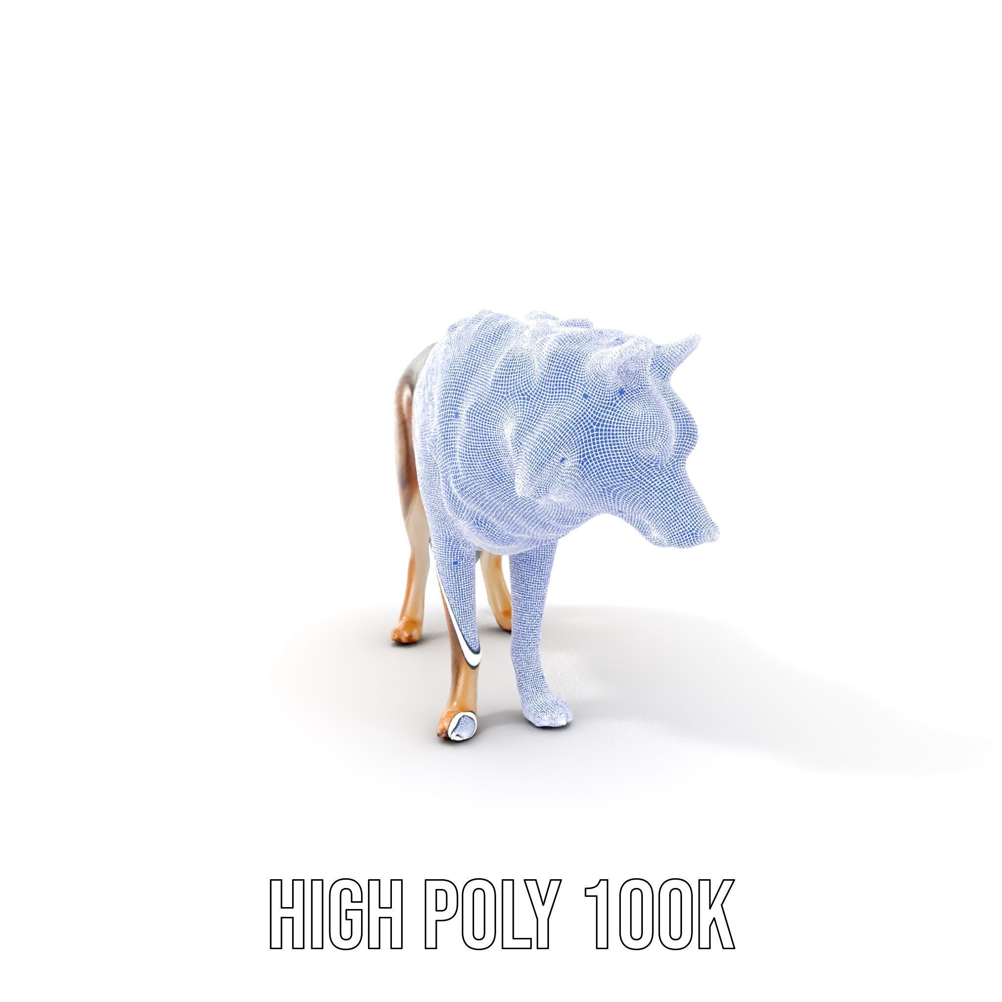 Wolf Animal Model Pack  Realistic Fur and Texture Low-poly 3D model_5