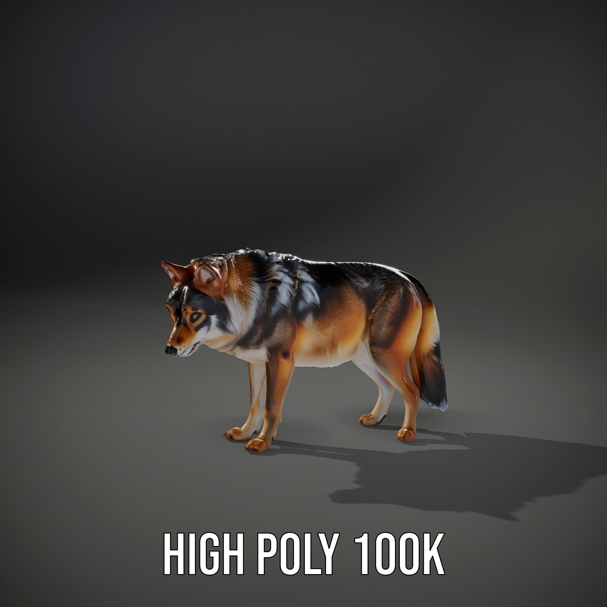Wolf Animal Model Pack  Realistic Fur and Texture Low-poly 3D model_12