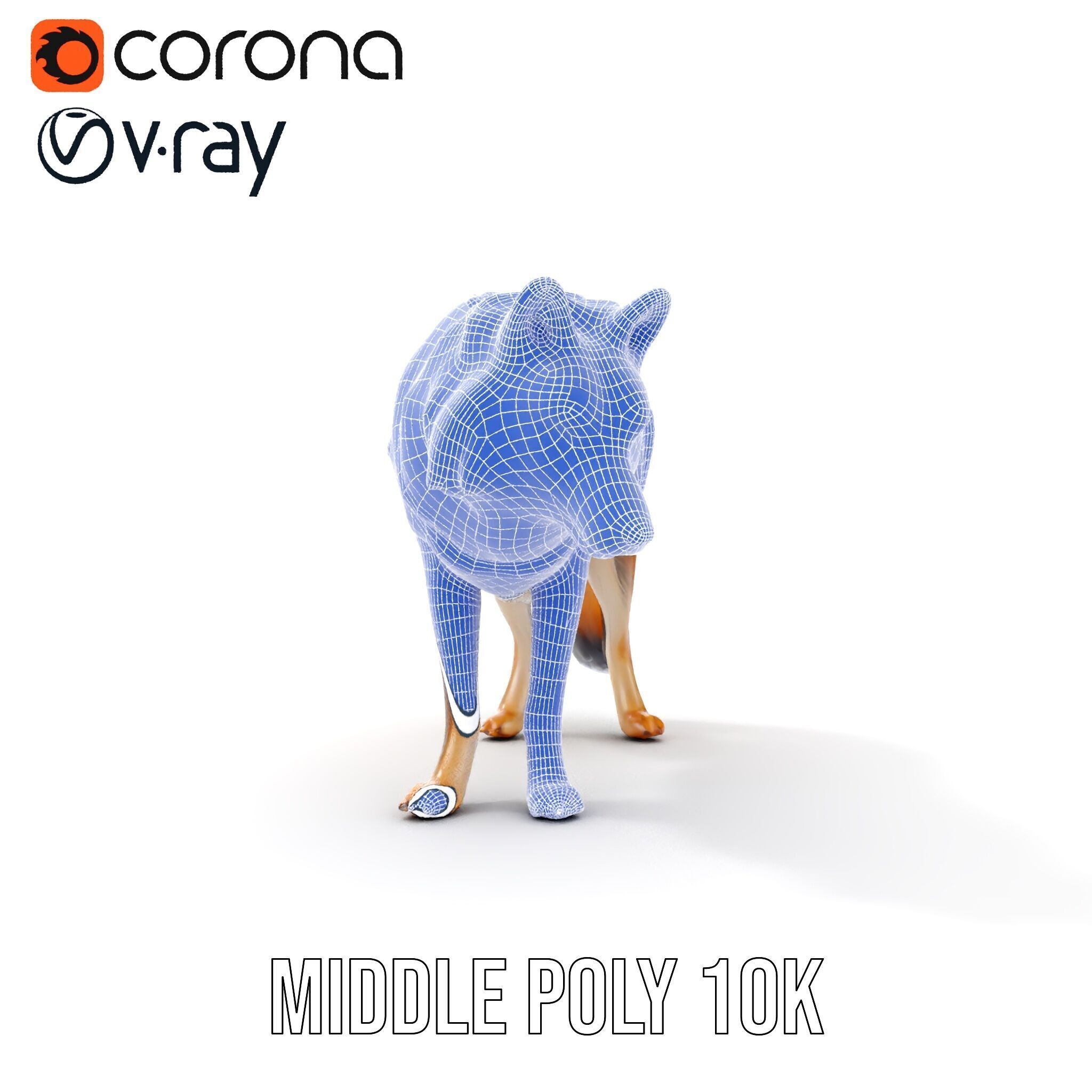 Wolf Animal Model Pack  Realistic Fur and Texture Low-poly 3D model_21