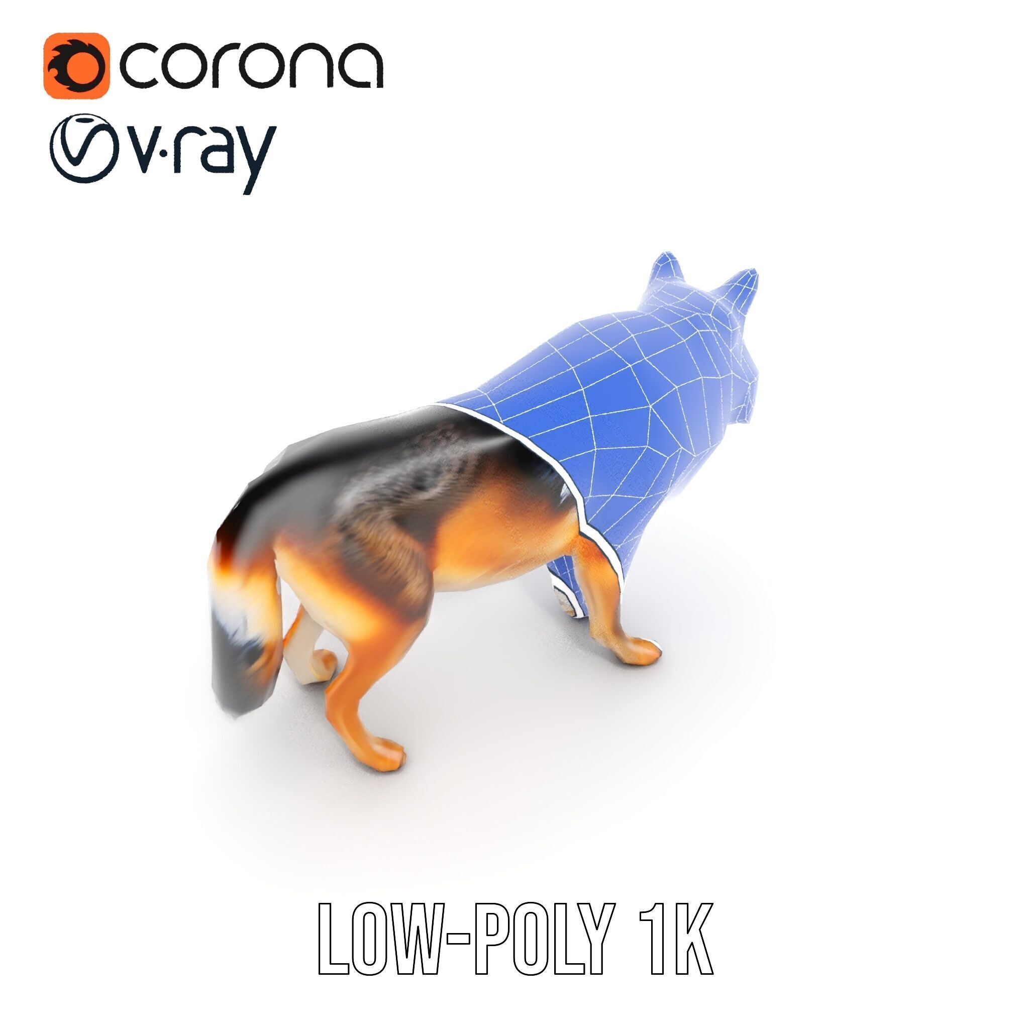 Wolf Animal Model Pack  Realistic Fur and Texture Low-poly 3D model_28