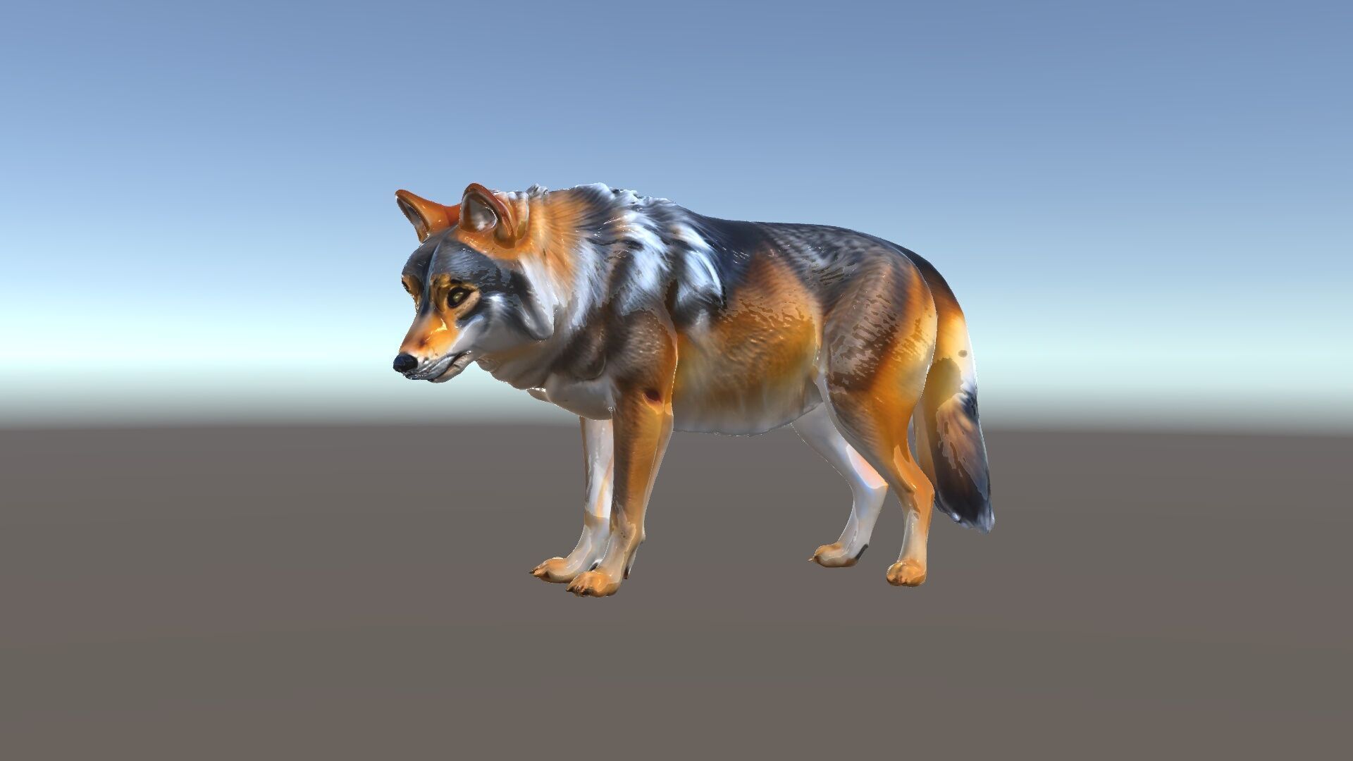 Wolf Animal Model Pack  Realistic Fur and Texture Low-poly 3D model_6