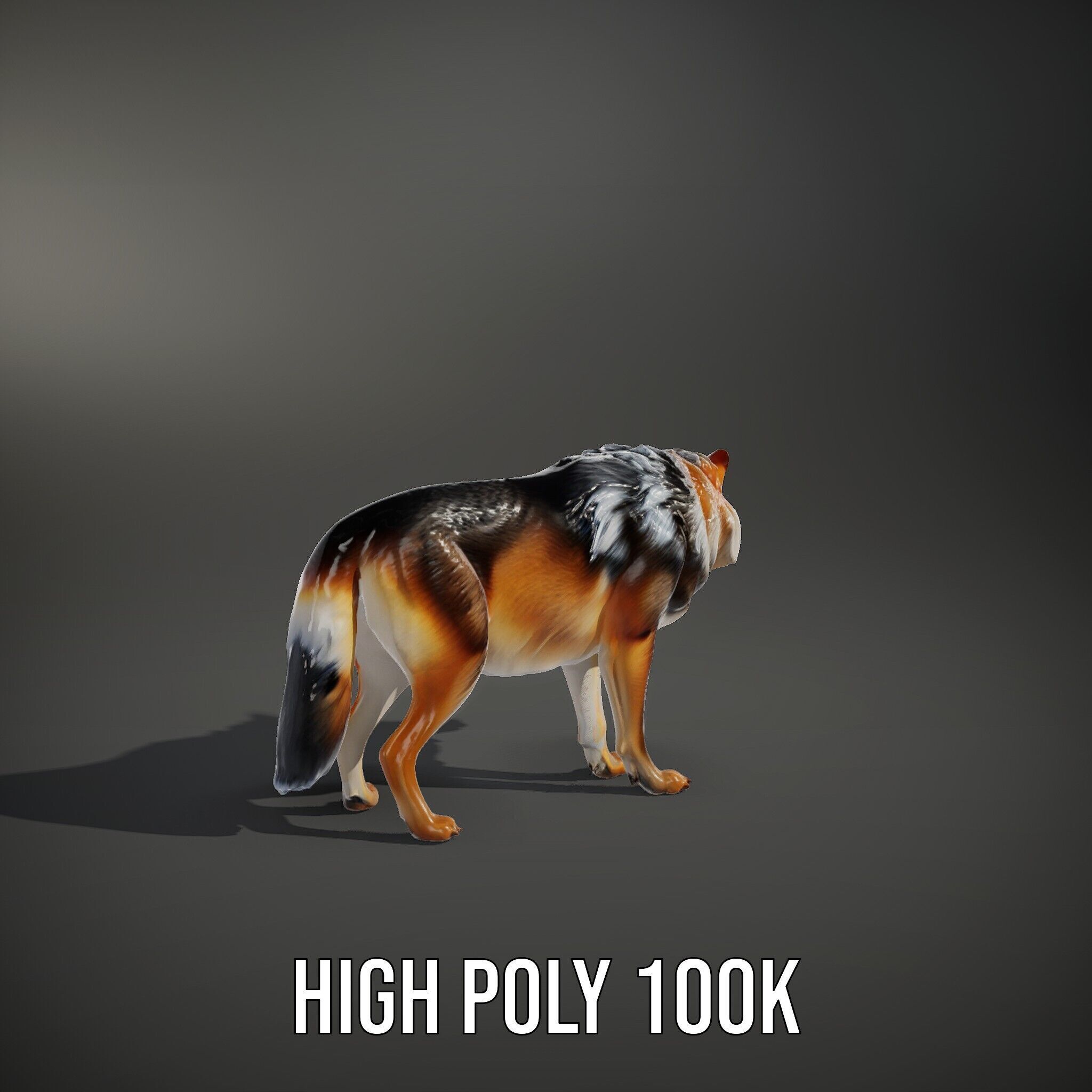 Wolf Animal Model Pack  Realistic Fur and Texture Low-poly 3D model_9