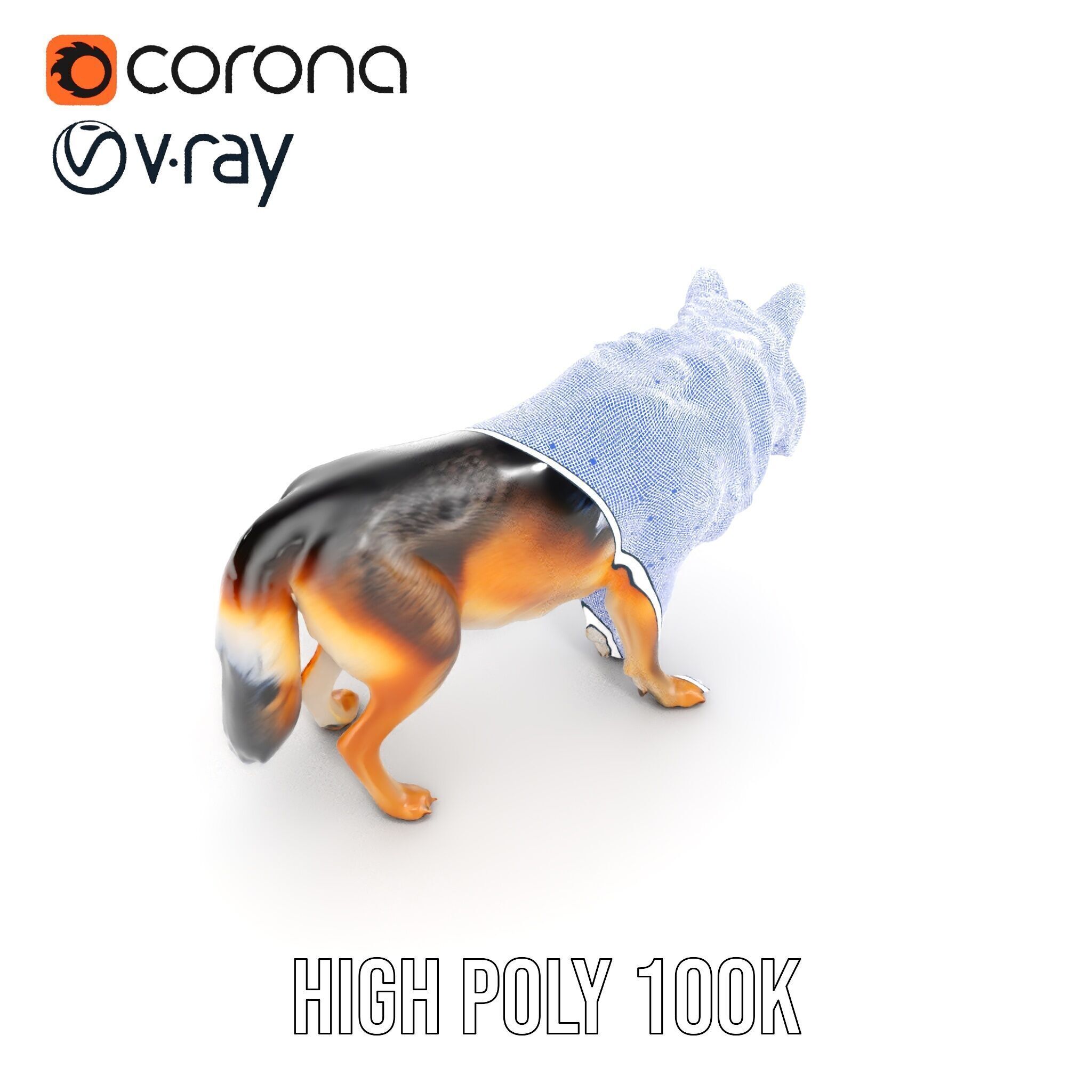 Wolf Animal Model Pack  Realistic Fur and Texture Low-poly 3D model_37