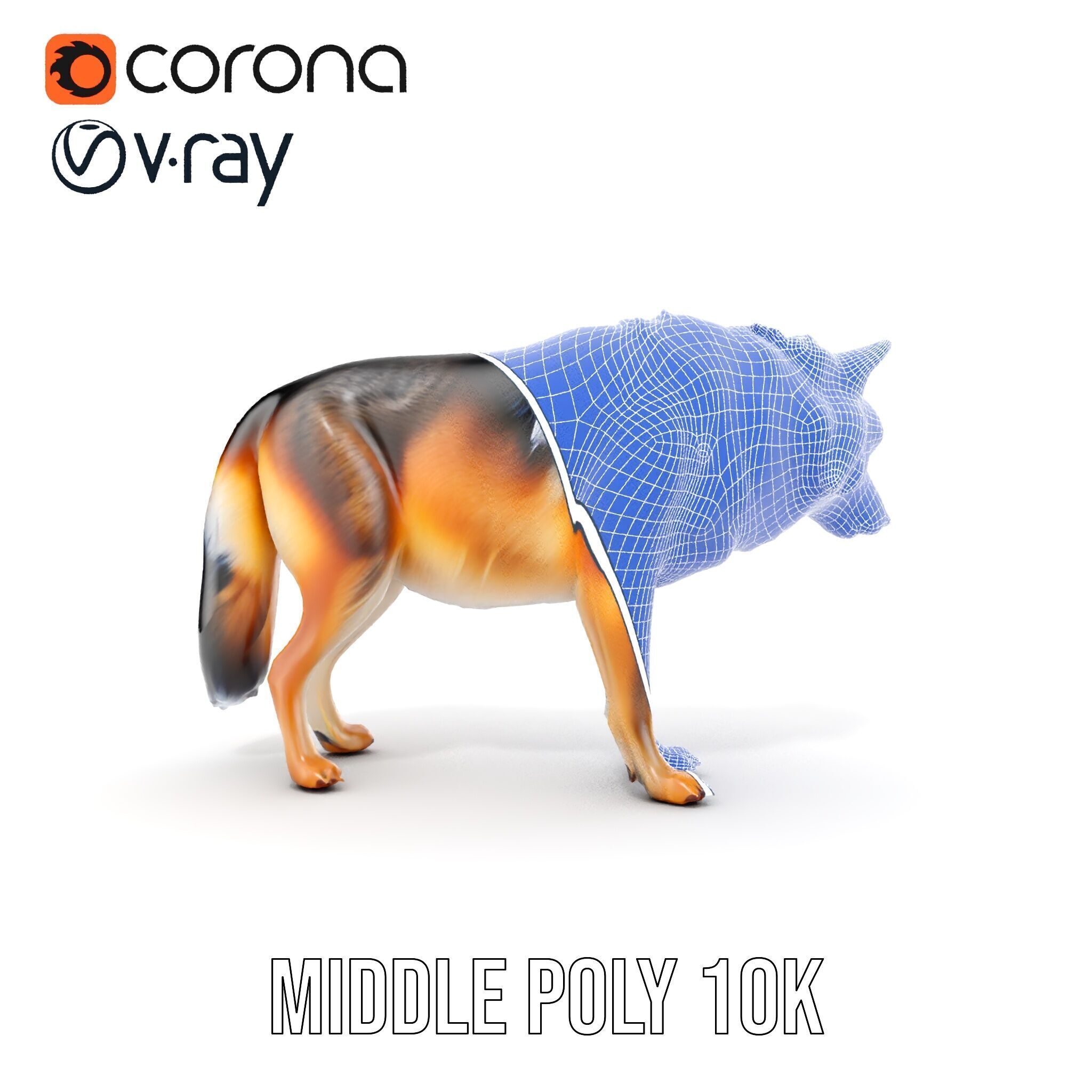 Wolf Animal Model Pack  Realistic Fur and Texture Low-poly 3D model_32