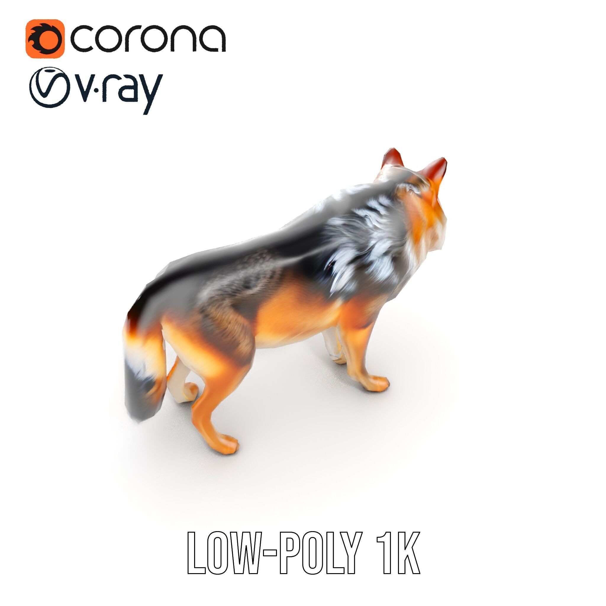 Wolf Animal Model Pack  Realistic Fur and Texture Low-poly 3D model_14