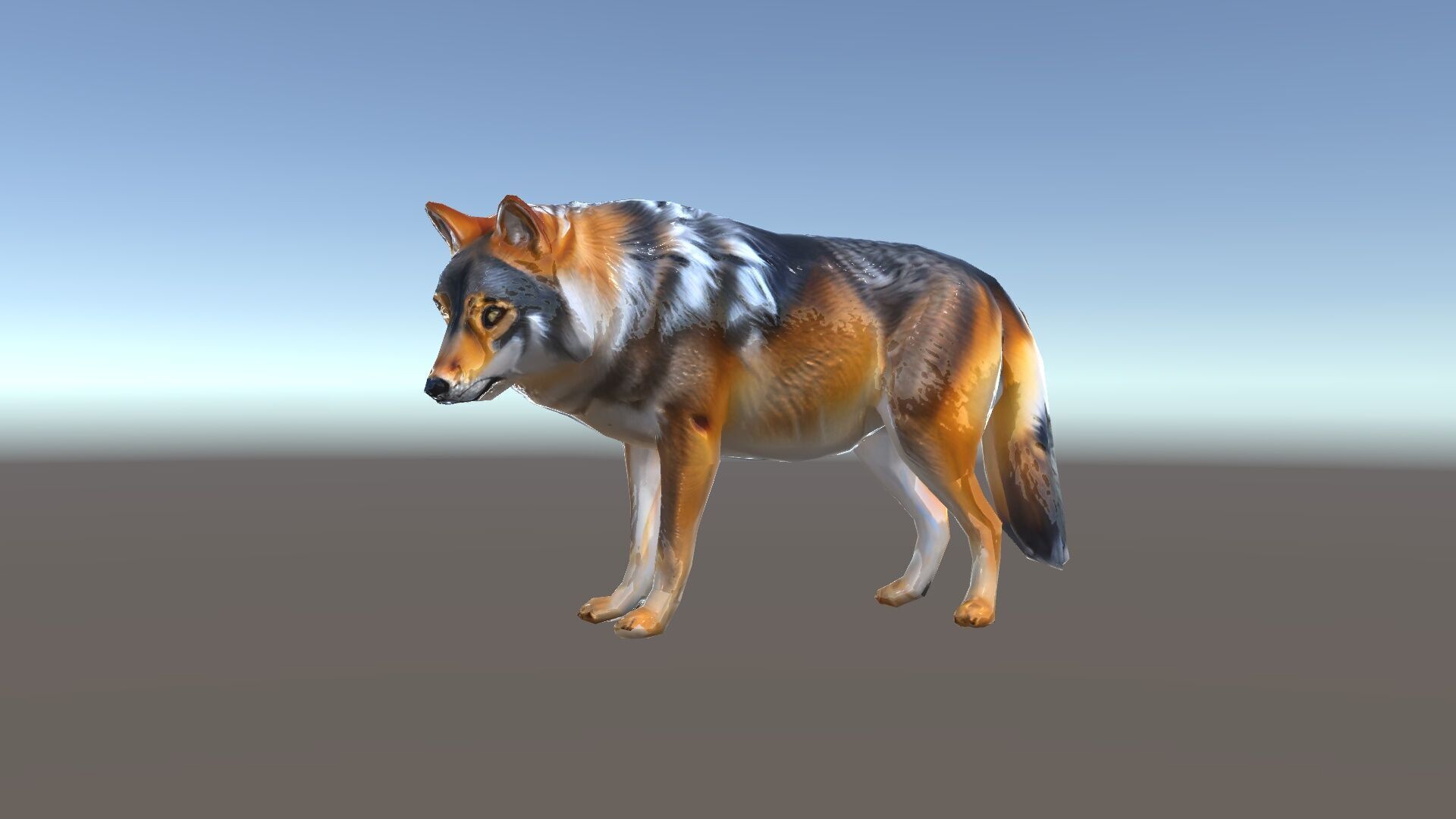 Wolf Animal Model Pack  Realistic Fur and Texture Low-poly 3D model_36