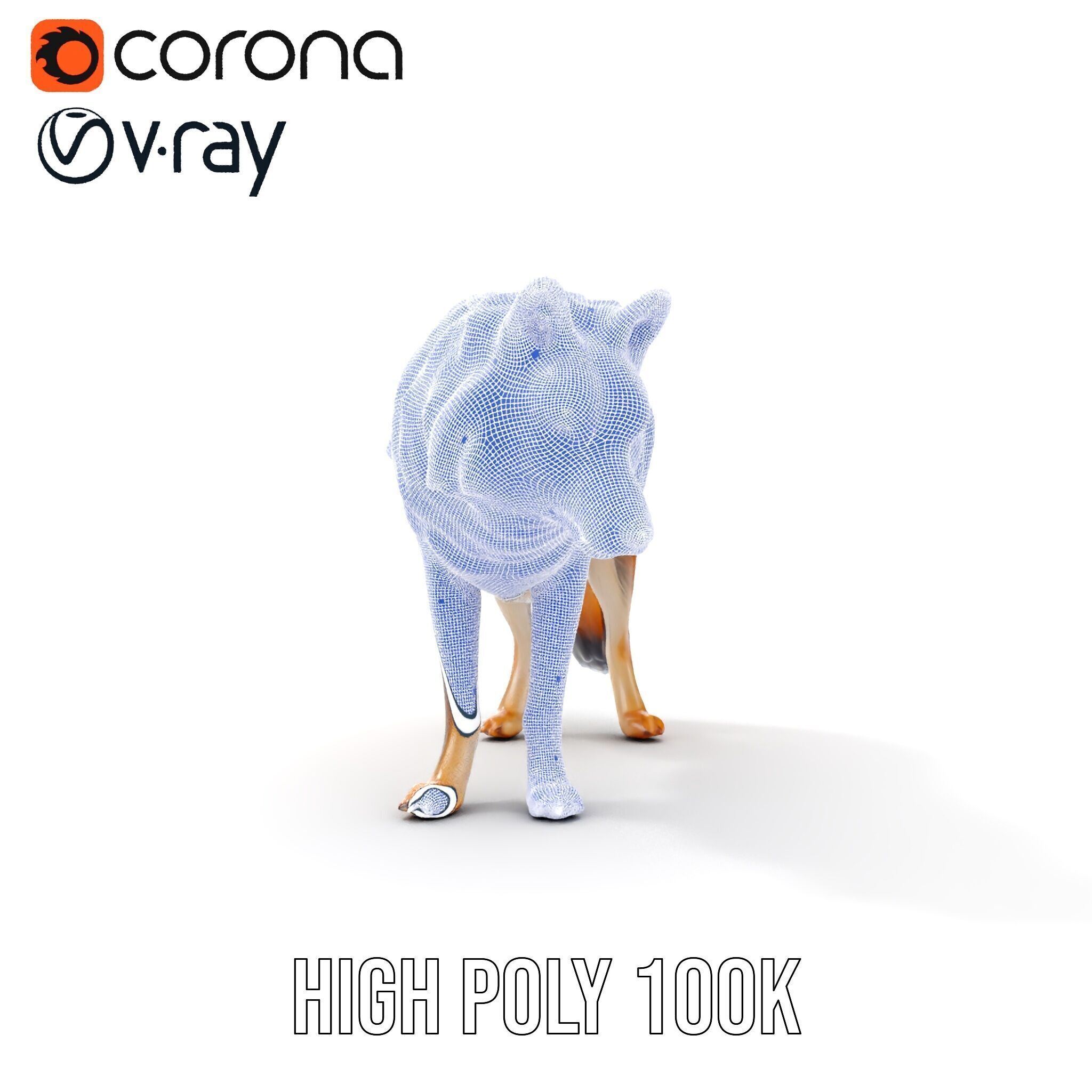 Wolf Animal Model Pack  Realistic Fur and Texture Low-poly 3D model_39