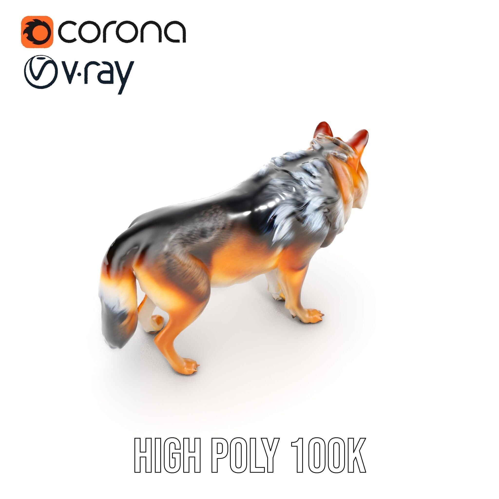 Wolf Animal Model Pack  Realistic Fur and Texture Low-poly 3D model_26