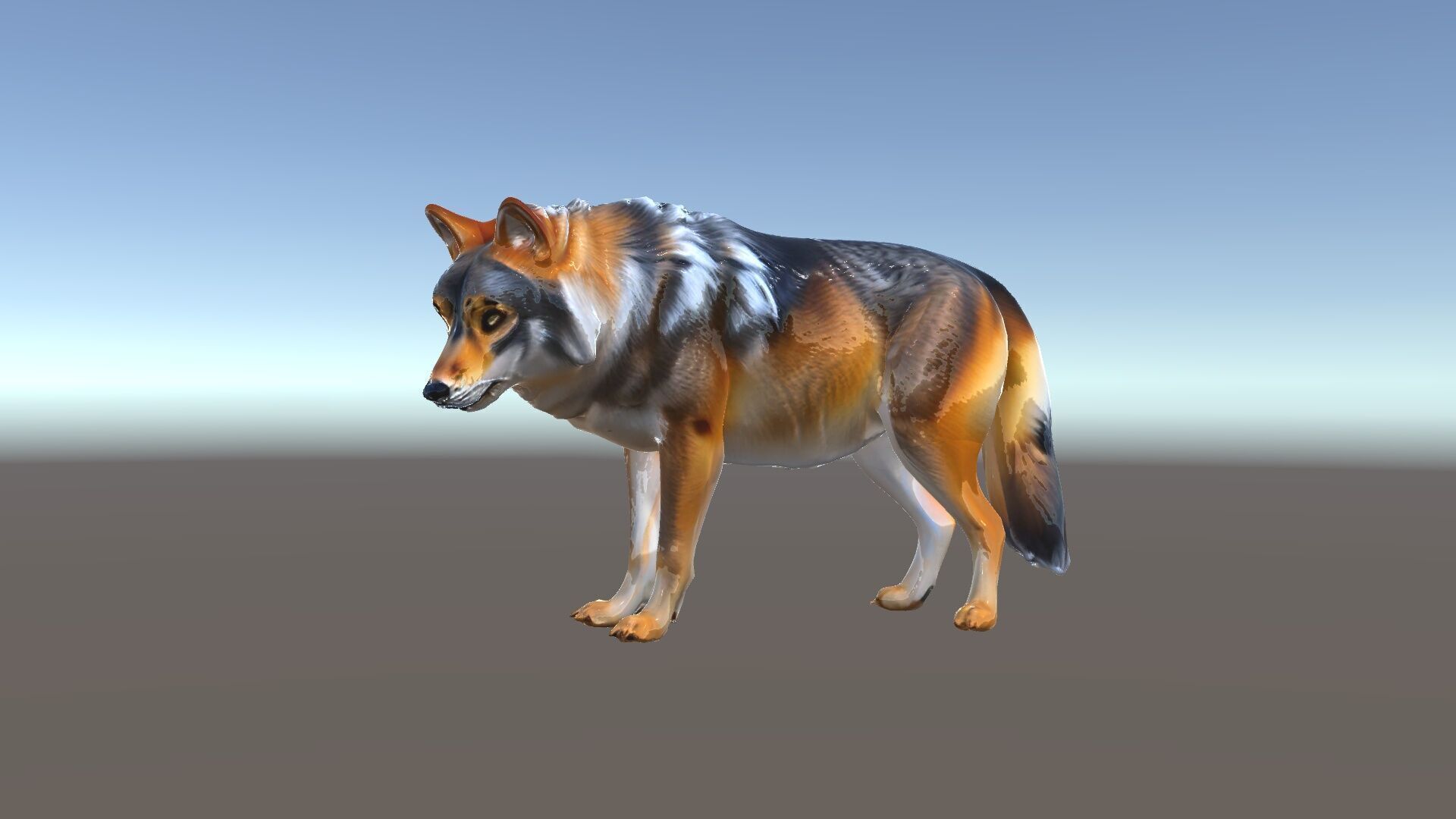 Wolf Animal Model Pack  Realistic Fur and Texture Low-poly 3D model_35