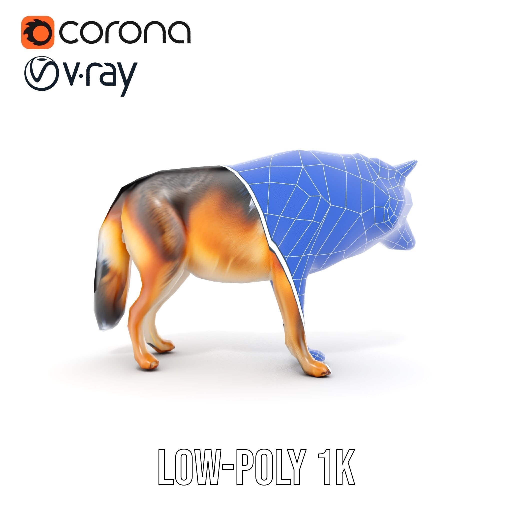 Wolf Animal Model Pack  Realistic Fur and Texture Low-poly 3D model_30