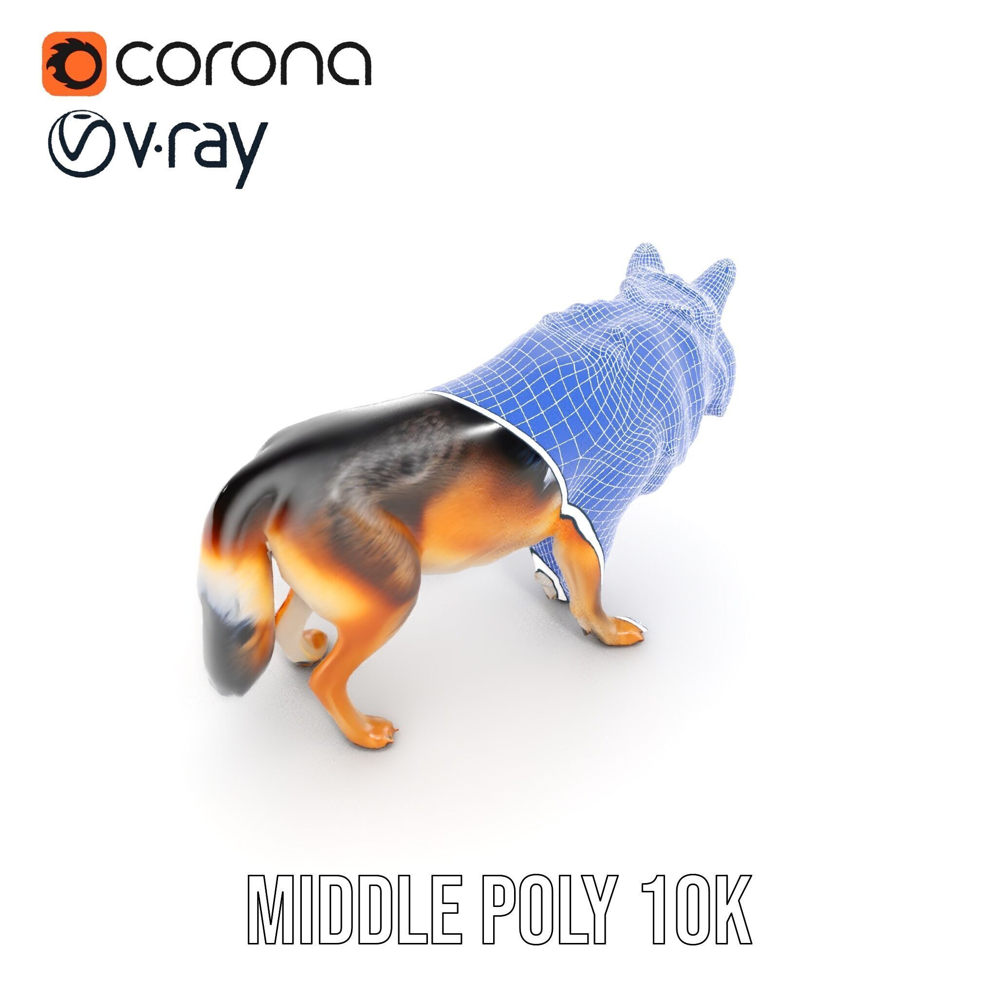 Wolf Animal Model Pack  Realistic Fur and Texture Low-poly 3D model_13