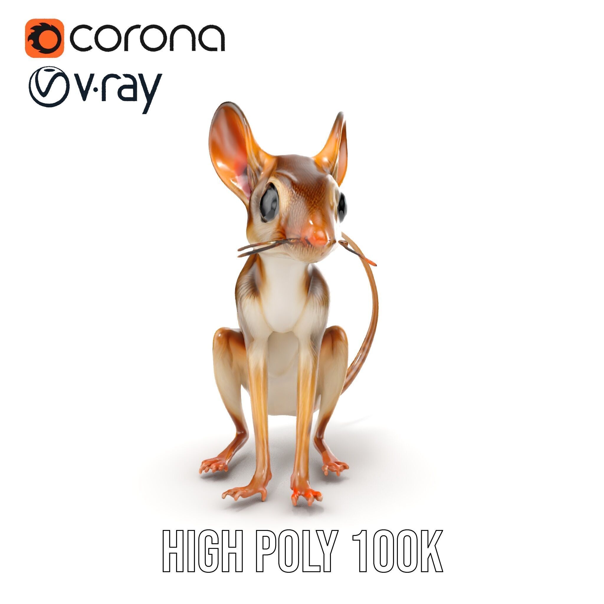 Realistic Jerboa Model Pack with Detailed Textures Low-poly 3D model_17