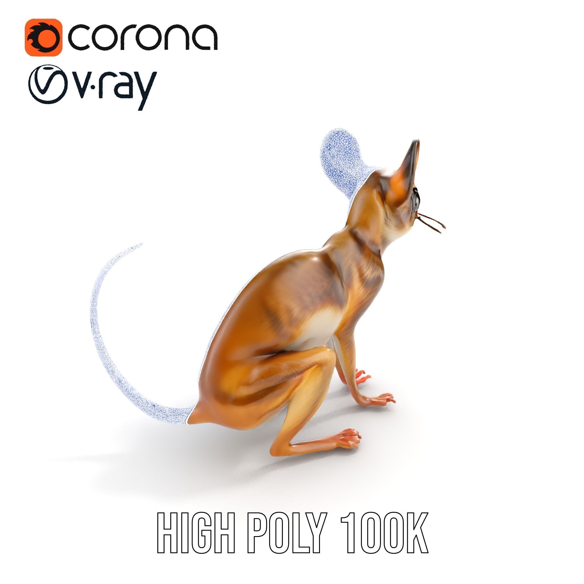 Realistic Jerboa Model Pack with Detailed Textures Low-poly 3D model_28