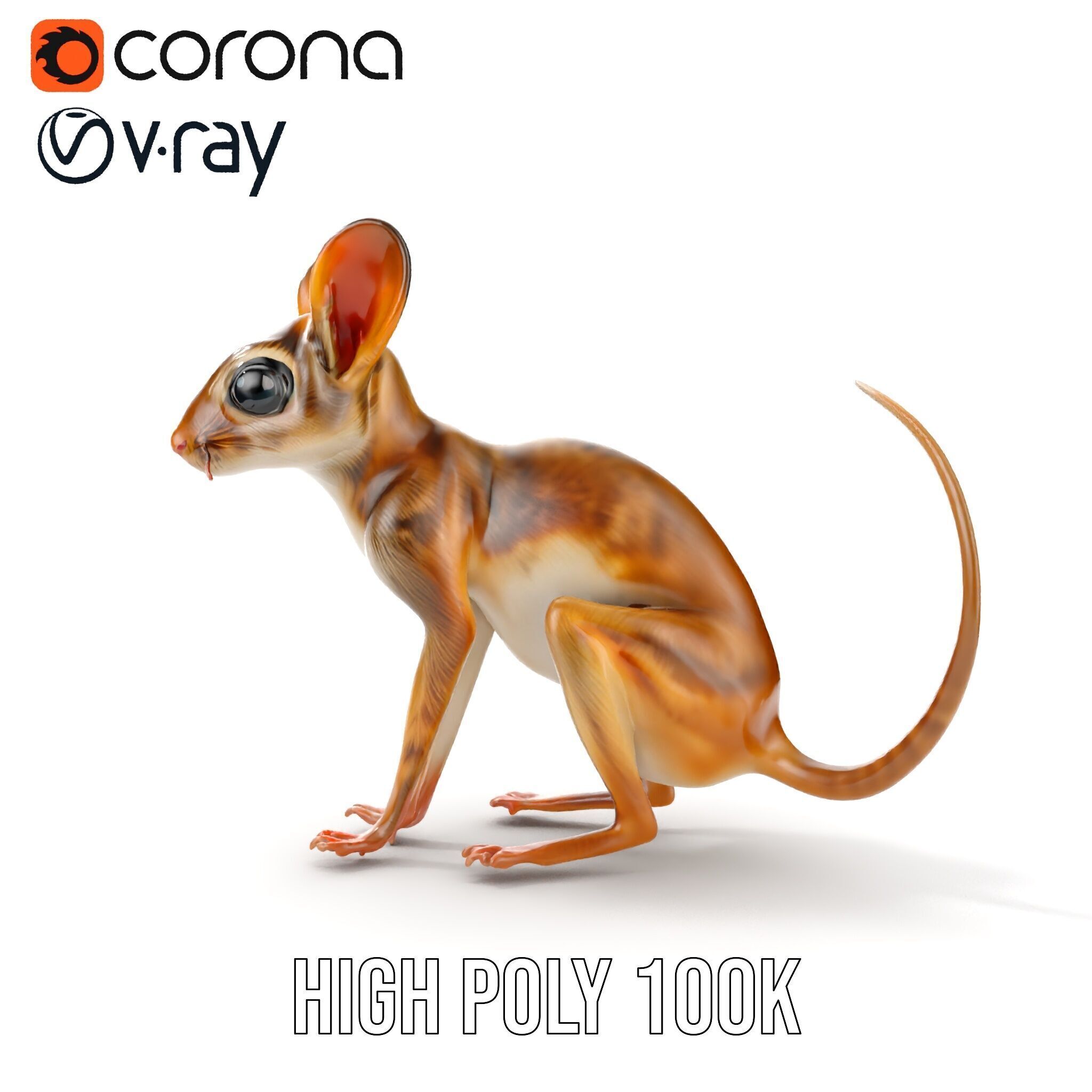Realistic Jerboa Model Pack with Detailed Textures Low-poly 3D model_21