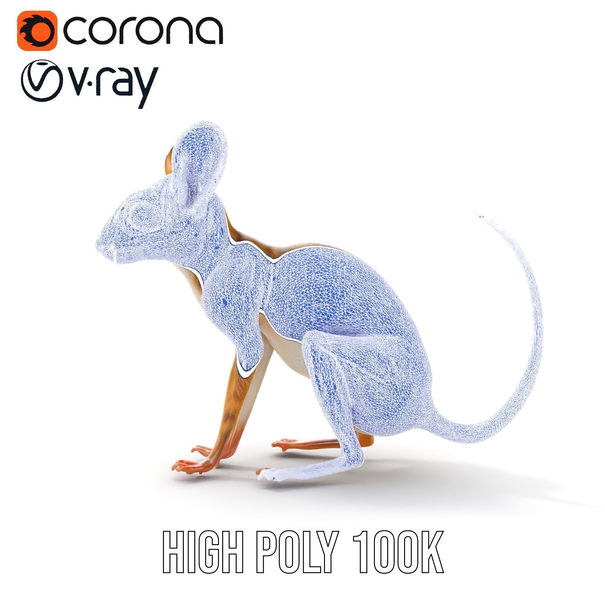 Realistic Jerboa Model Pack with Detailed Textures Low-poly 3D model_16