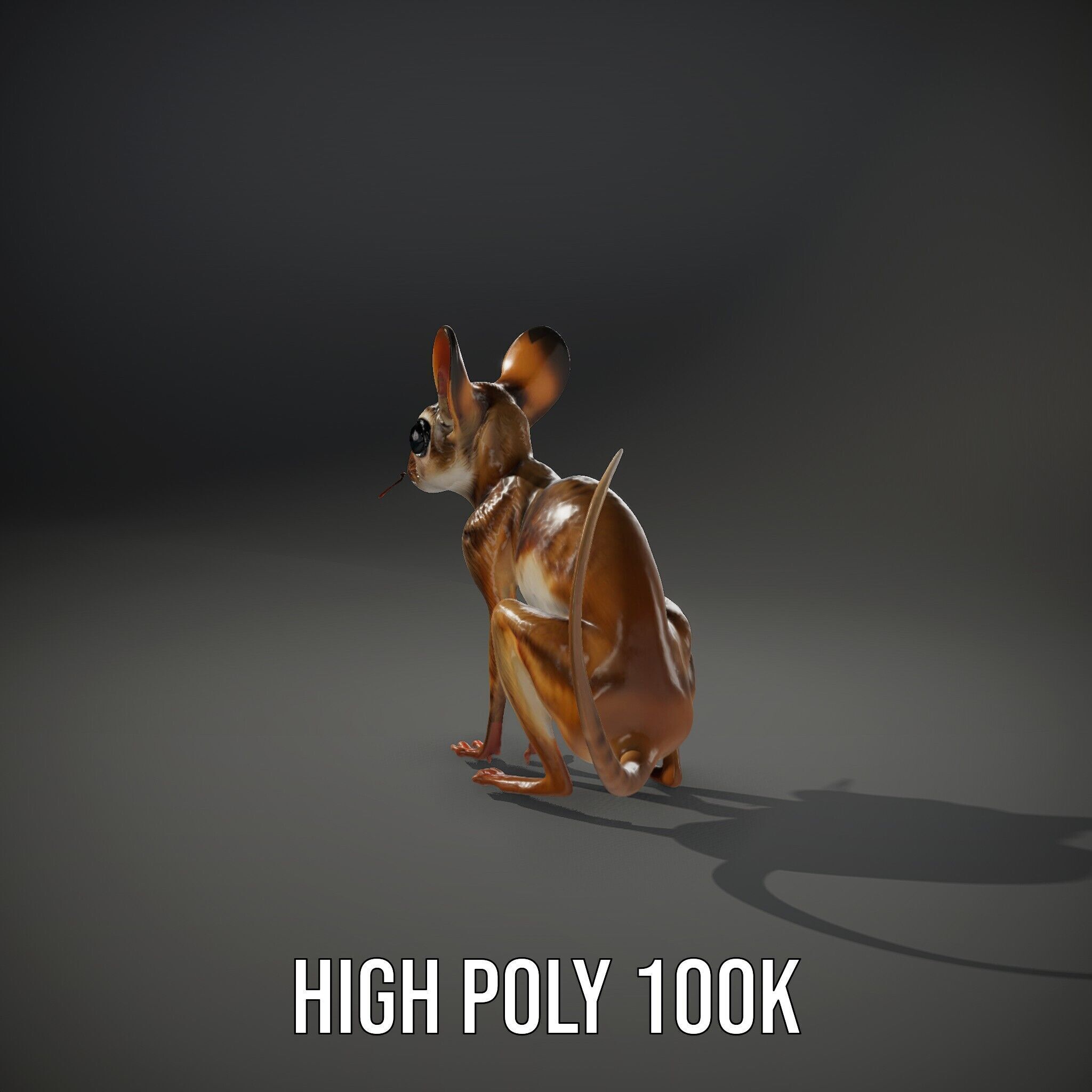 Realistic Jerboa Model Pack with Detailed Textures Low-poly 3D model_9