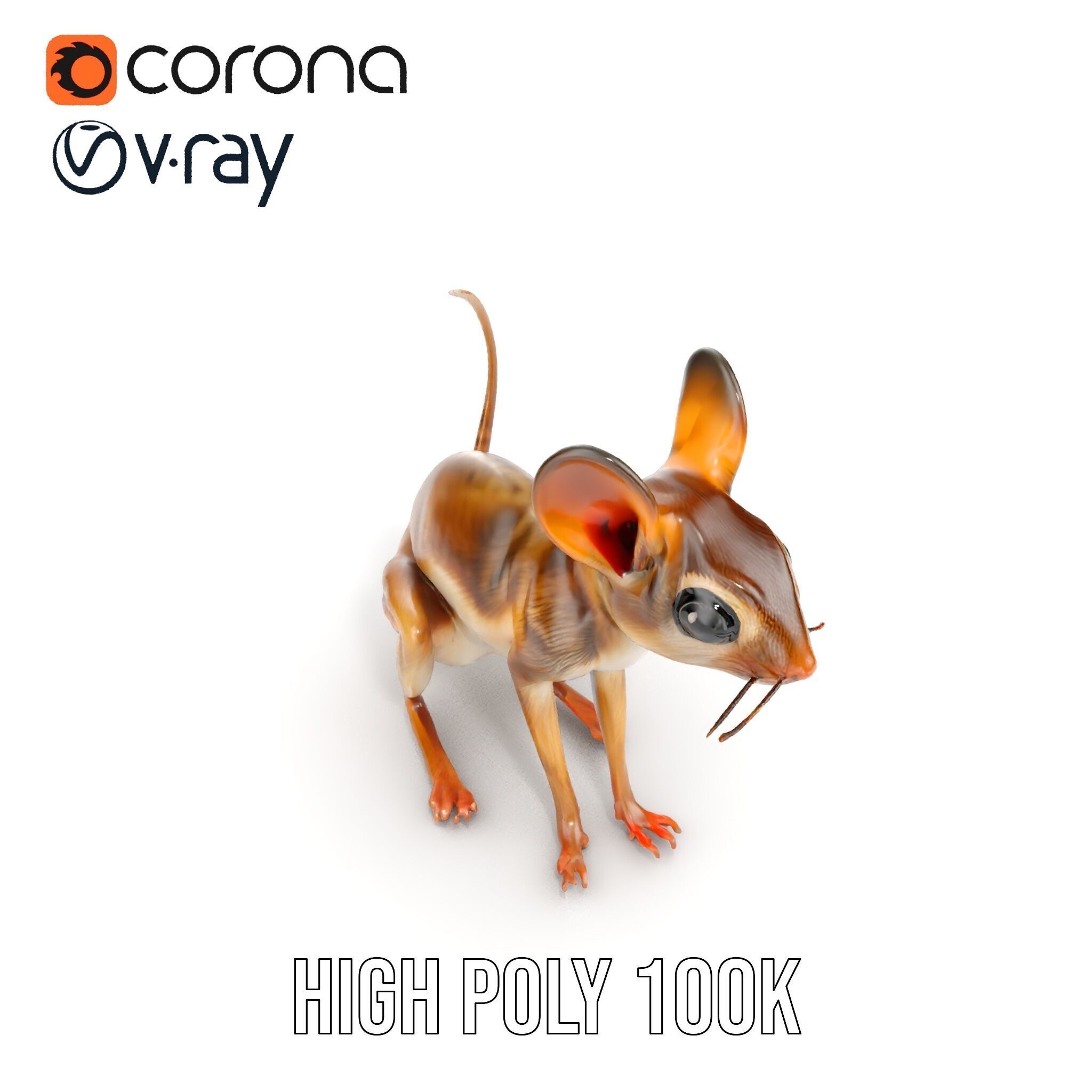 Realistic Jerboa Model Pack with Detailed Textures Low-poly 3D model_10