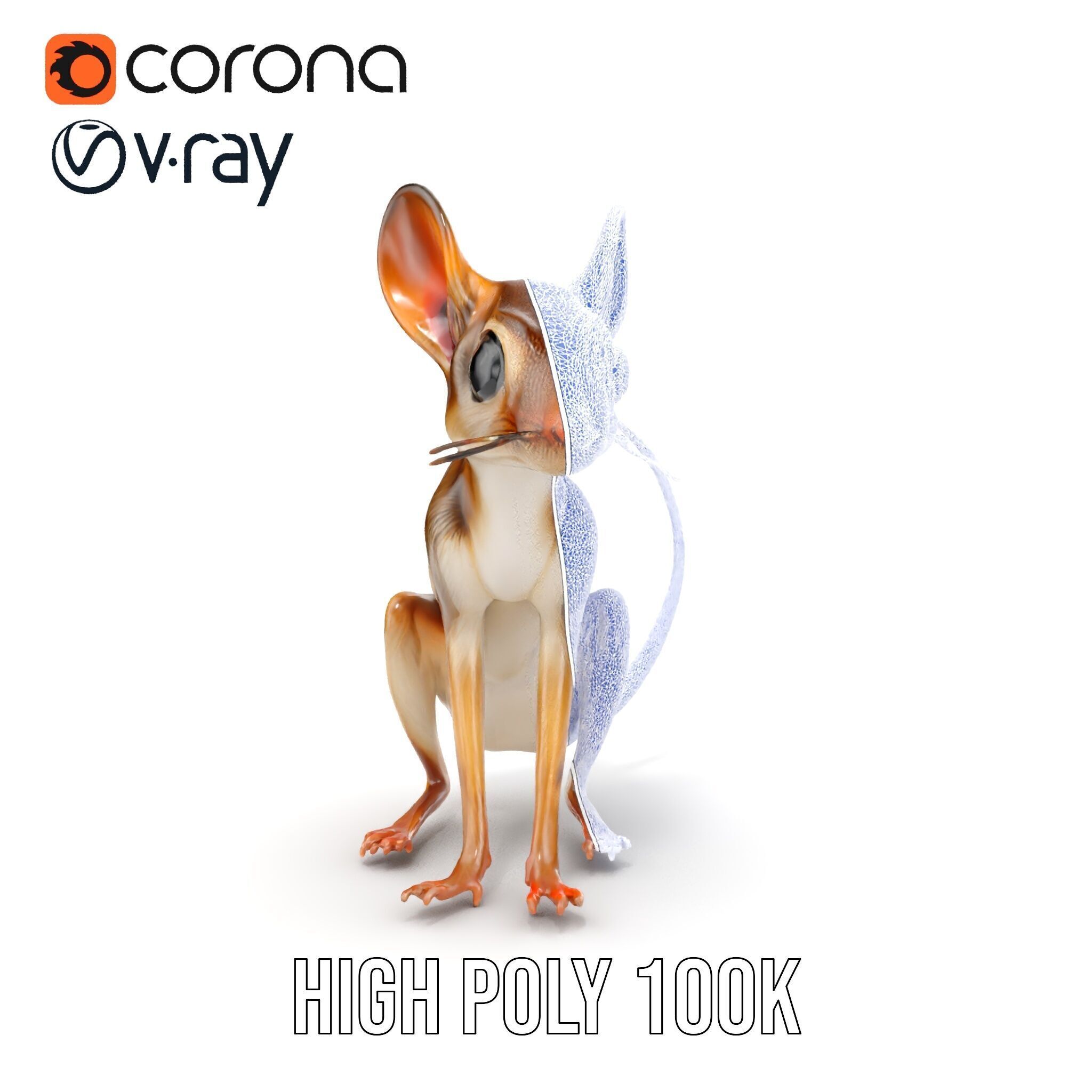 Realistic Jerboa Model Pack with Detailed Textures Low-poly 3D model_32