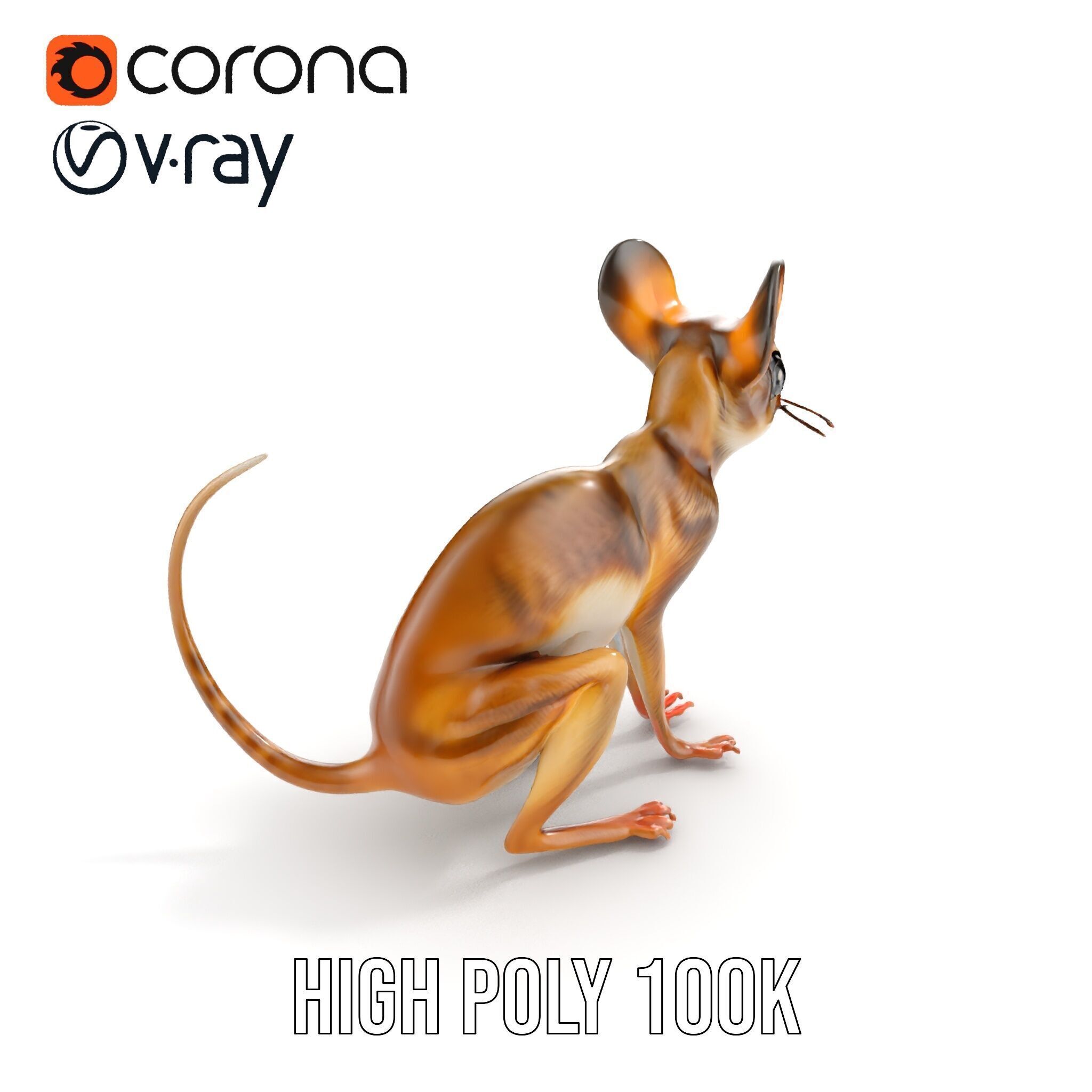 Realistic Jerboa Model Pack with Detailed Textures Low-poly 3D model_7