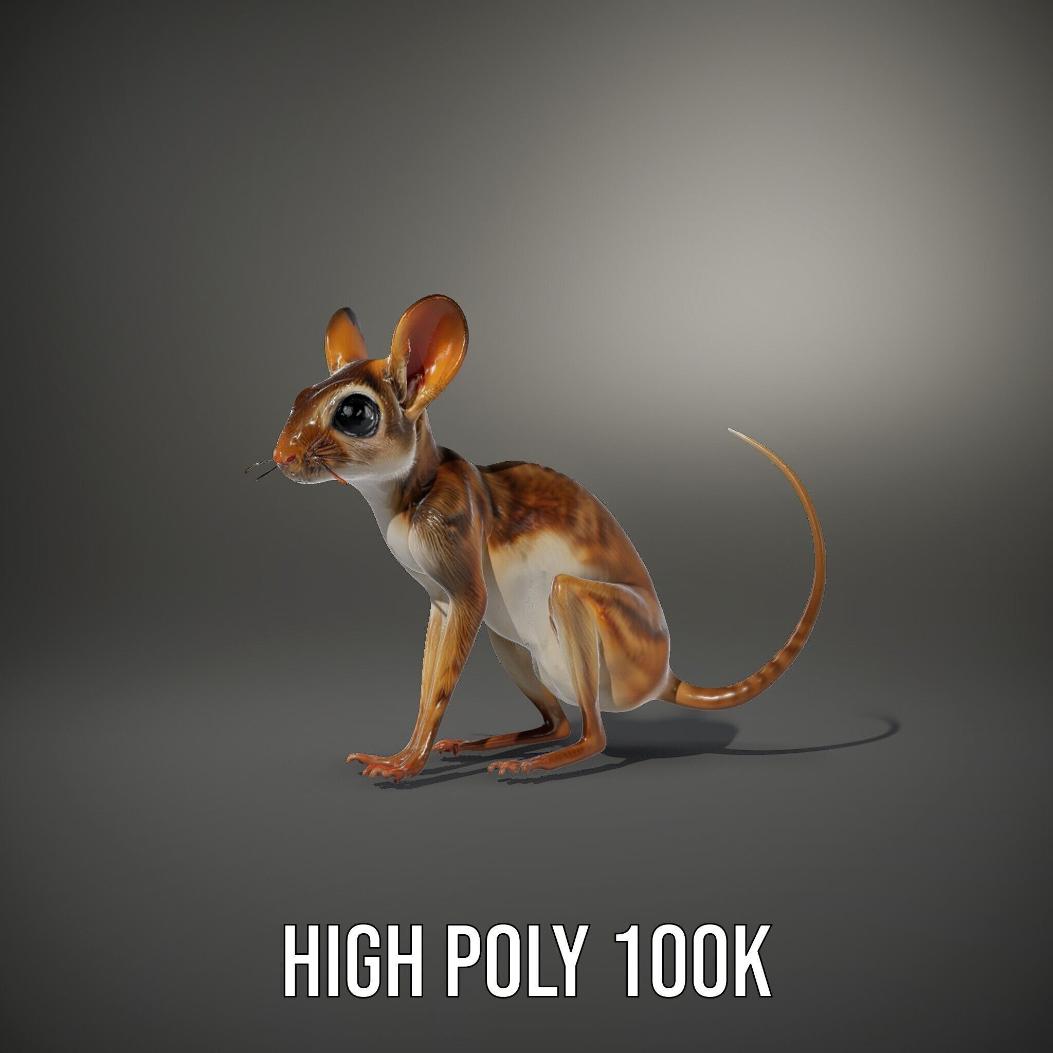 Realistic Jerboa Model Pack with Detailed Textures Low-poly 3D model_12