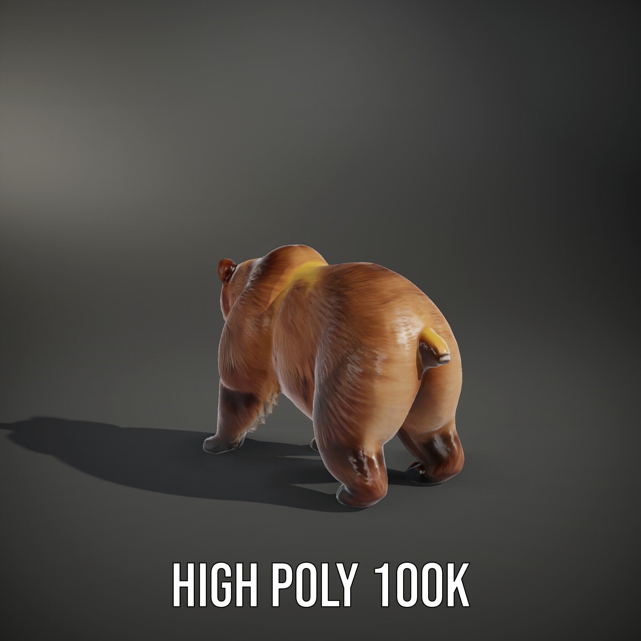 Realistic Bear Model Pack with Diverse Level of Detail Low-poly 3D model_8