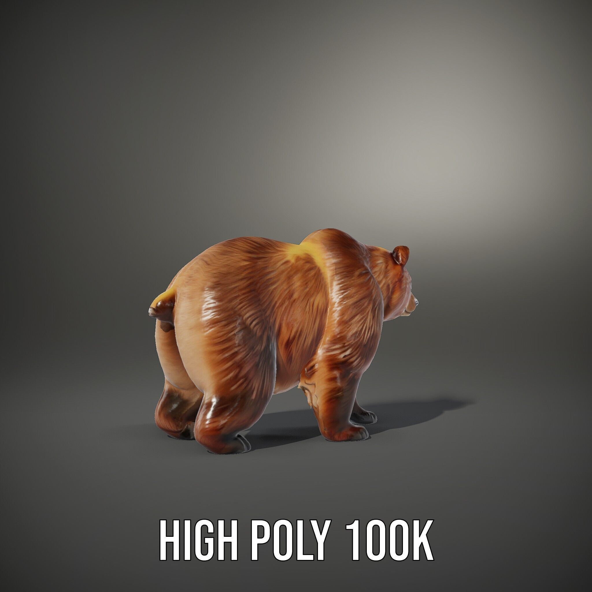 Realistic Bear Model Pack with Diverse Level of Detail Low-poly 3D model_11