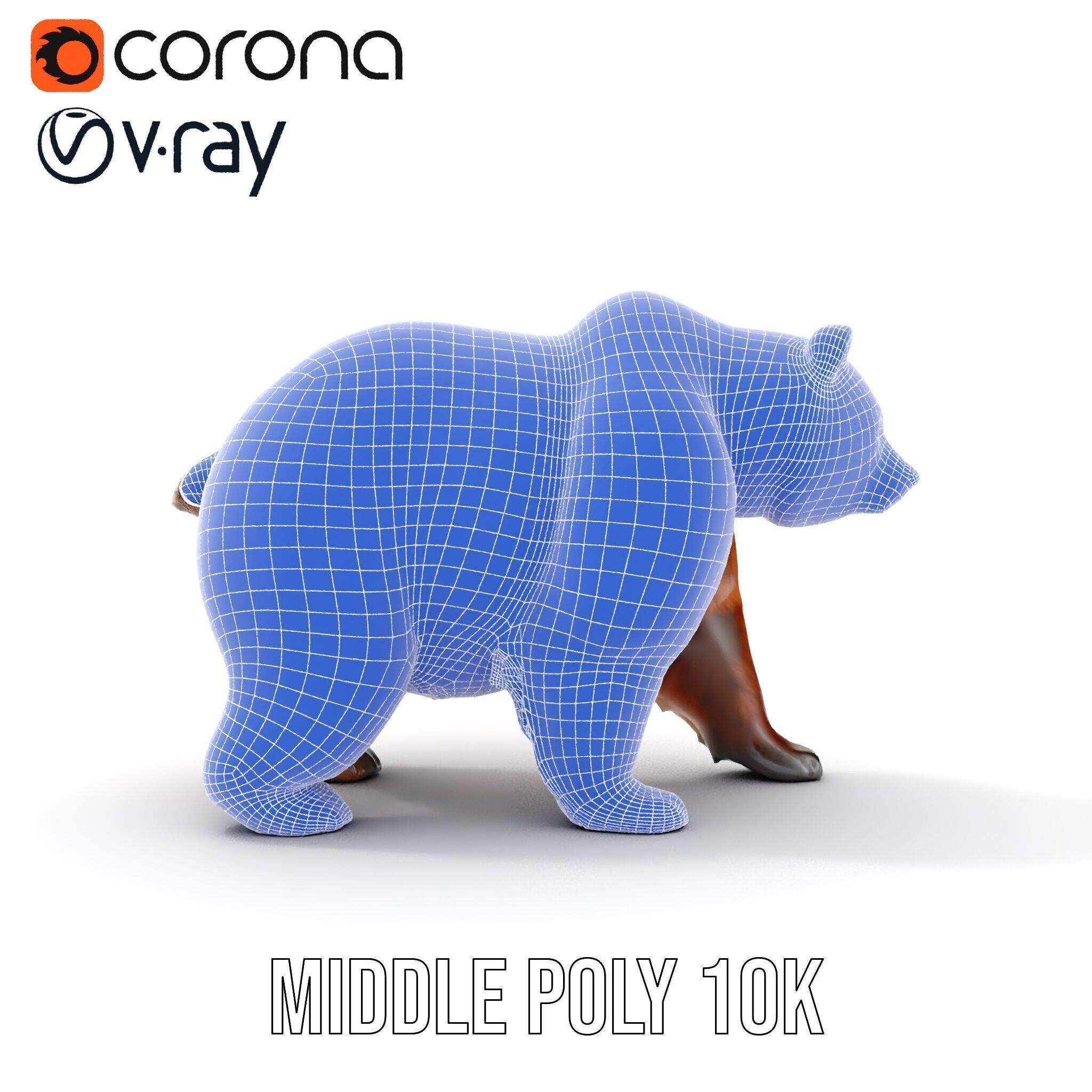 Realistic Bear Model Pack with Diverse Level of Detail Low-poly 3D model_30