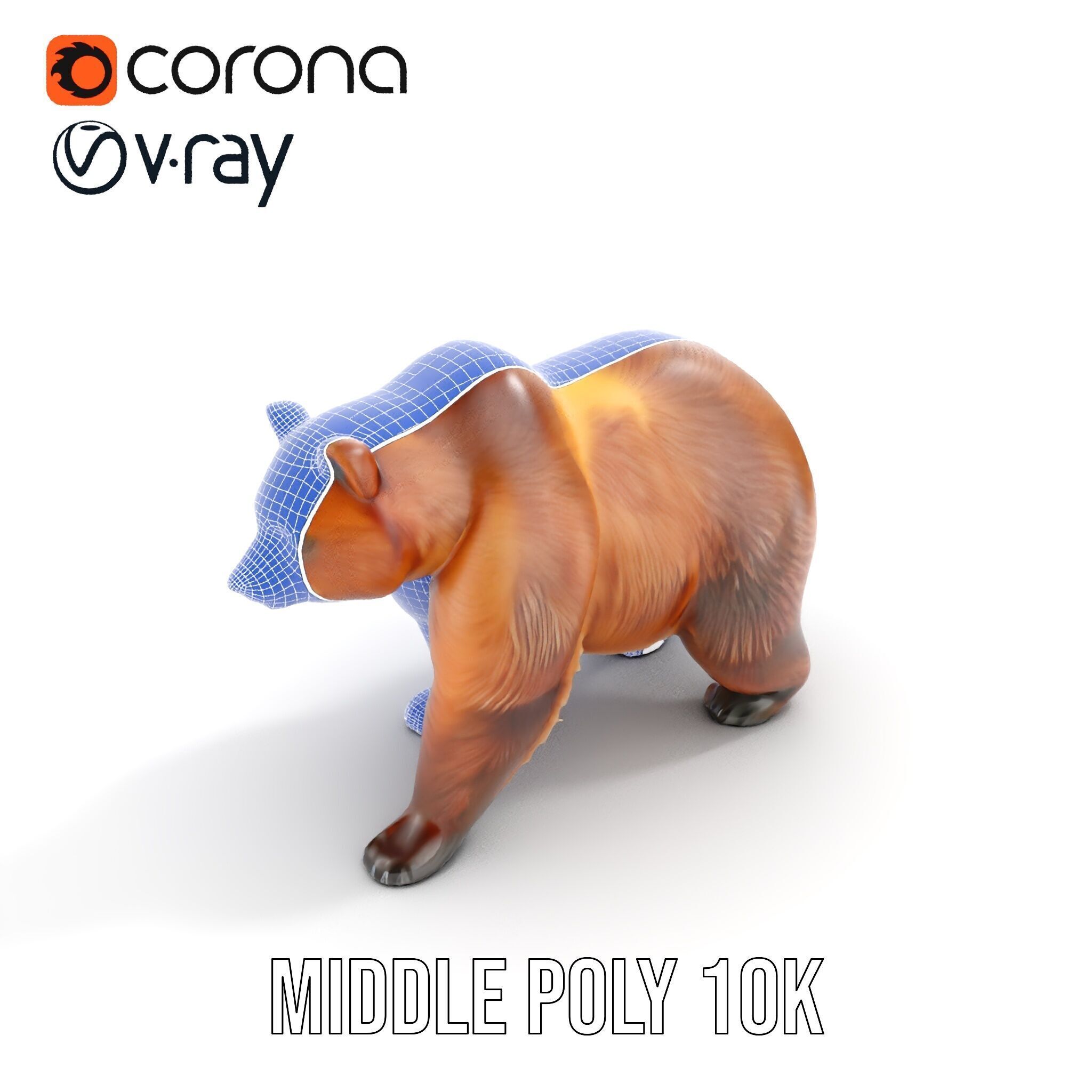 Realistic Bear Model Pack with Diverse Level of Detail Low-poly 3D model_12
